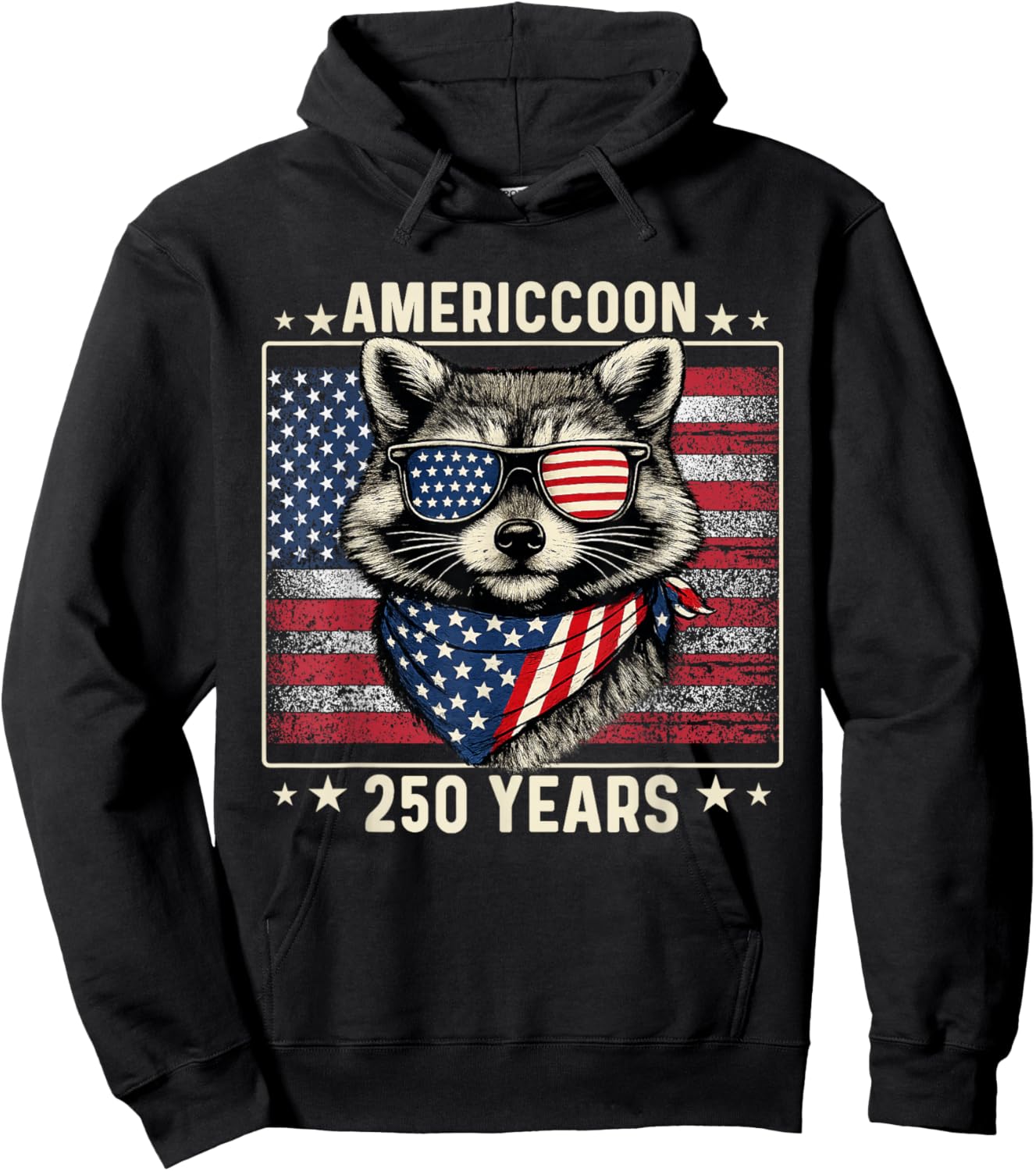 250th Anniversary Raccoon 1776 2026 250 Year 4th of July Hoodie - Hoodie | Black