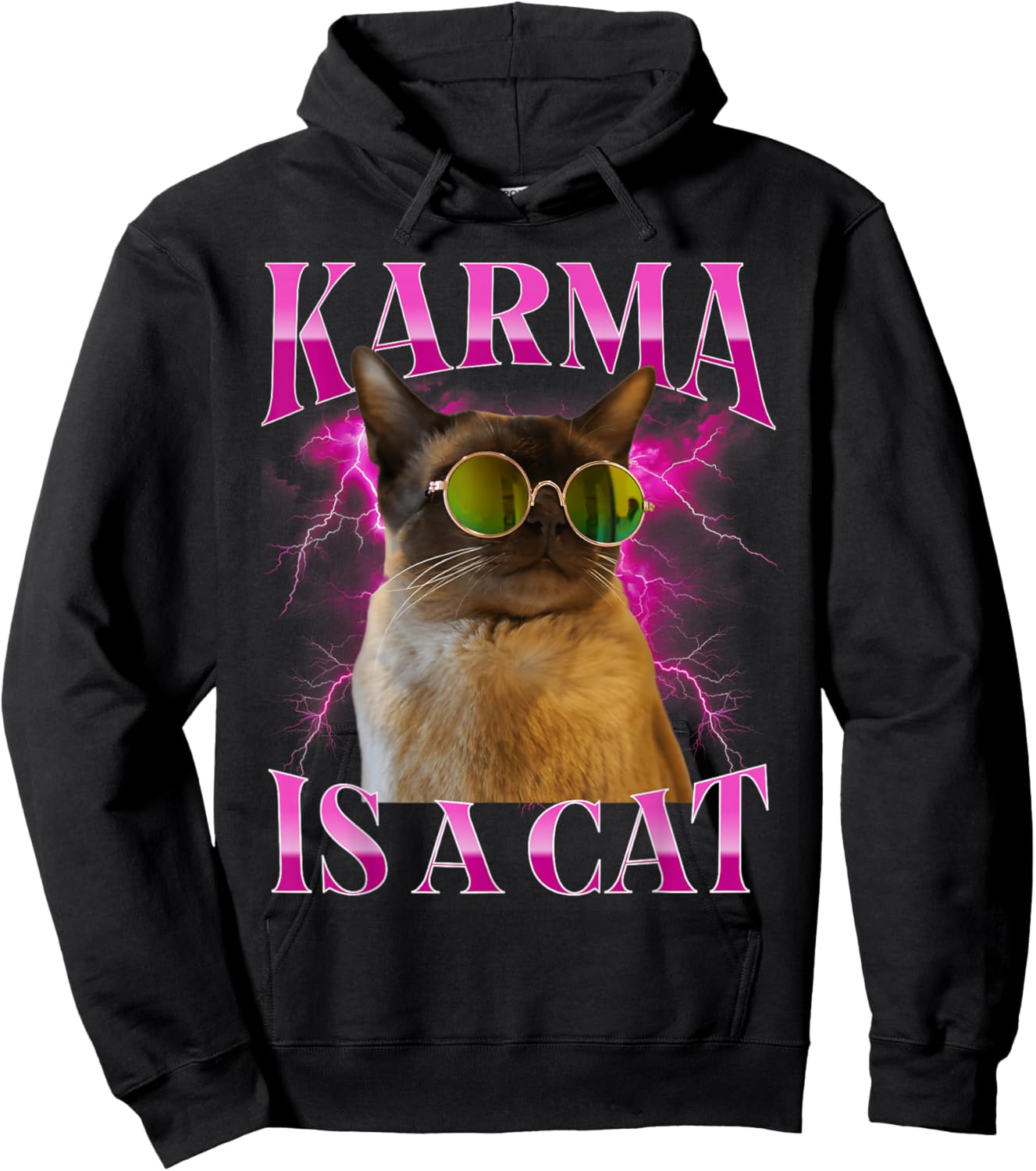 Karma is A Cat, Funny Cat Lovers Design Hoodie - Hoodie | Black