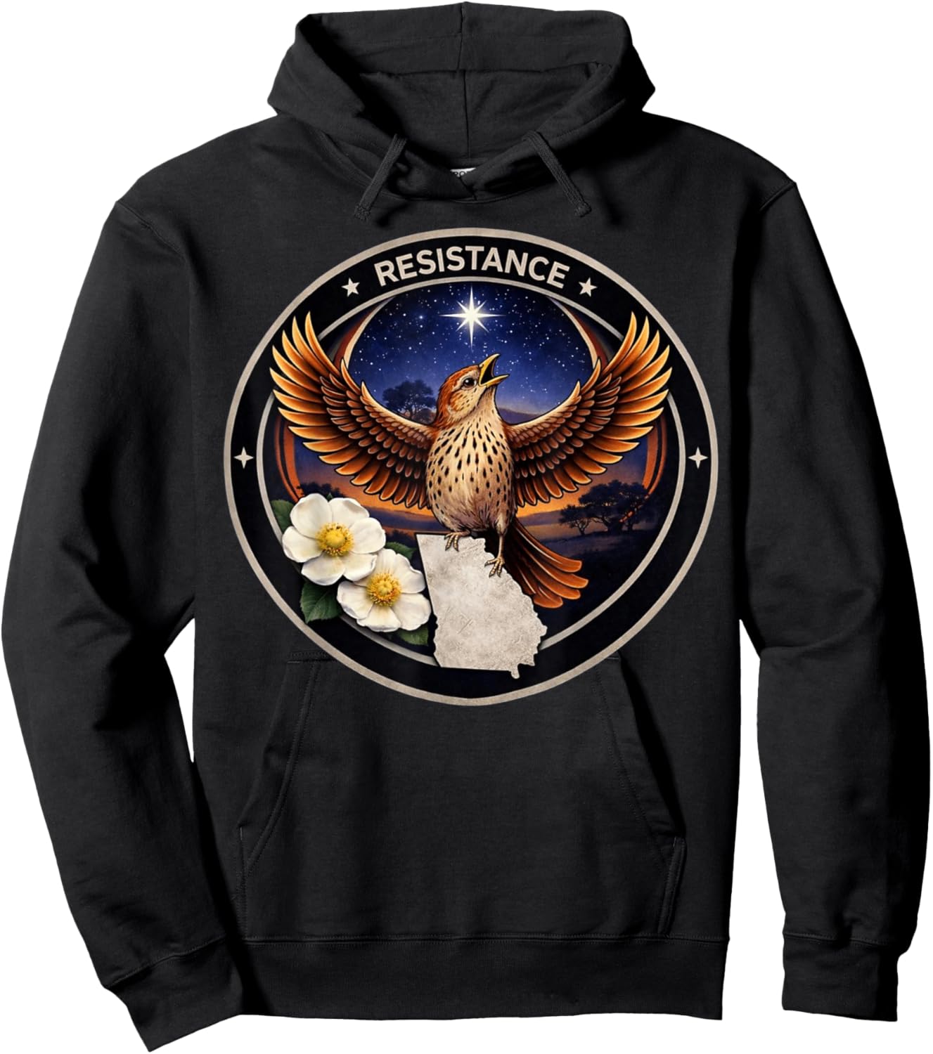Georgia GA Rebel Bird Alliance Resistance No Kings 2026 Hoodie - Hoodie | Black