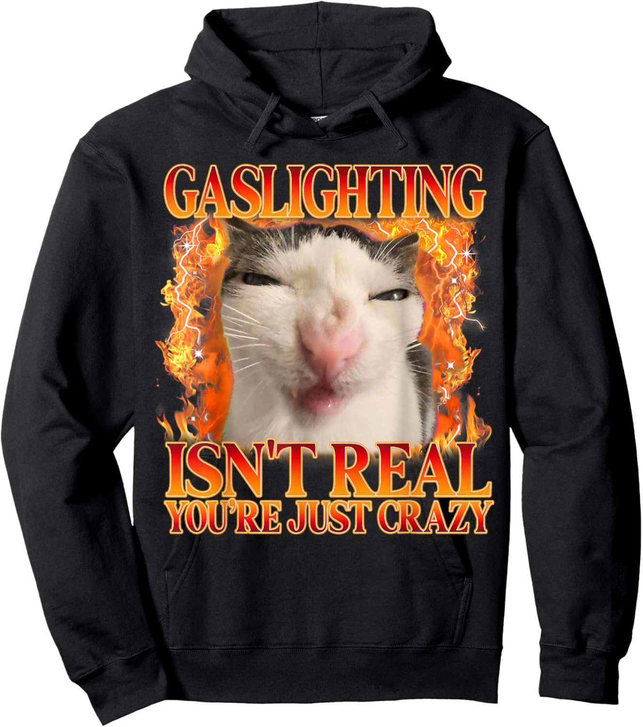 Funny Cat Meme Gaslighting Isn't Real You're Just Crazy Hoodie - Hoodie | Black