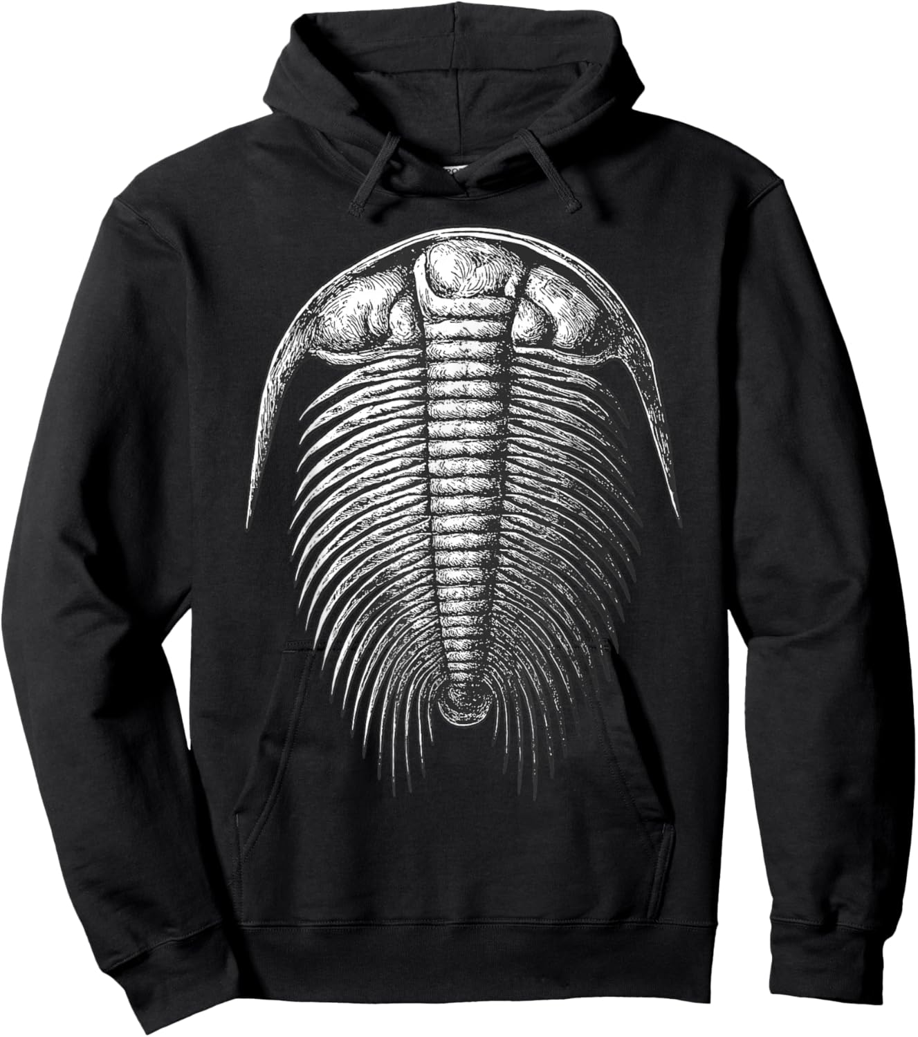 Paradoxides Trilobite Fossil – Cambrian Marine Life Hoodie - Hoodie | Black