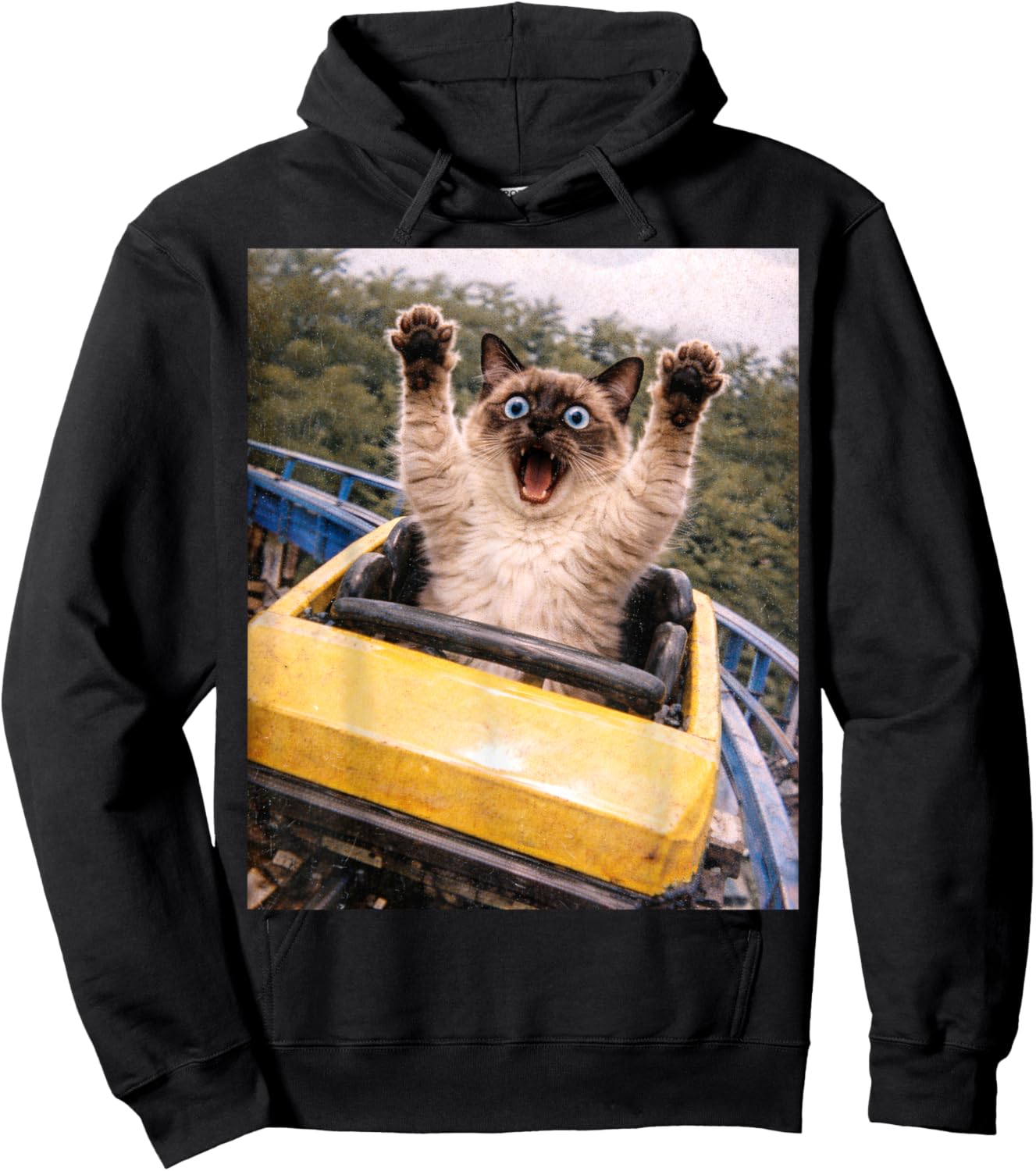 Funny Cat Roller Coaster Silly Meme Graphic Siamese Cat Hoodie - Hoodie | Black