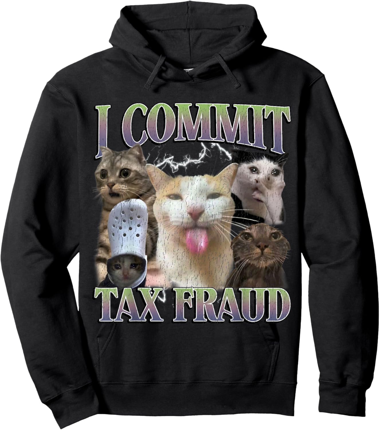 I Commit Tax Fraud Funny Cat Meme Bootleg Graphic Men Women Hoodie - Hoodie | Black
