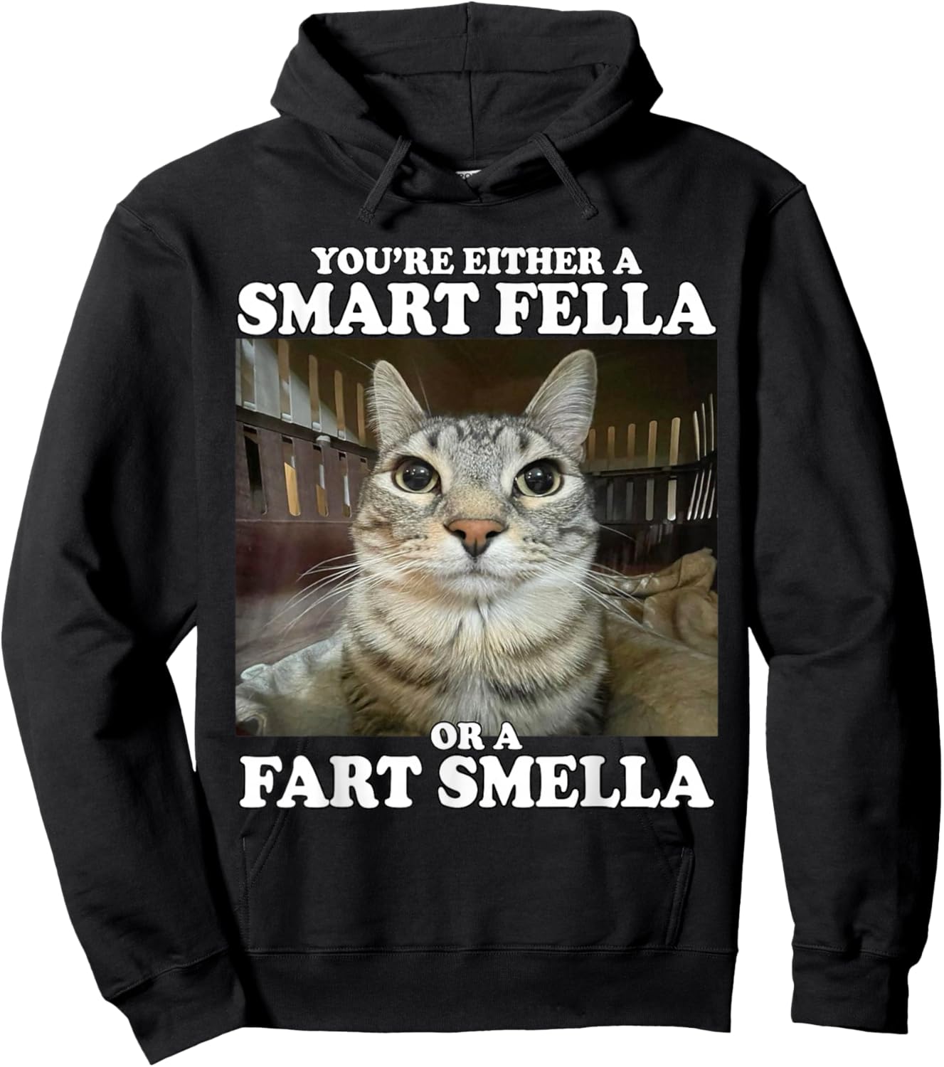 You're Either A Smart Fella Or A Fart Smella Funny Cat Meme Hoodie - Hoodie | Black