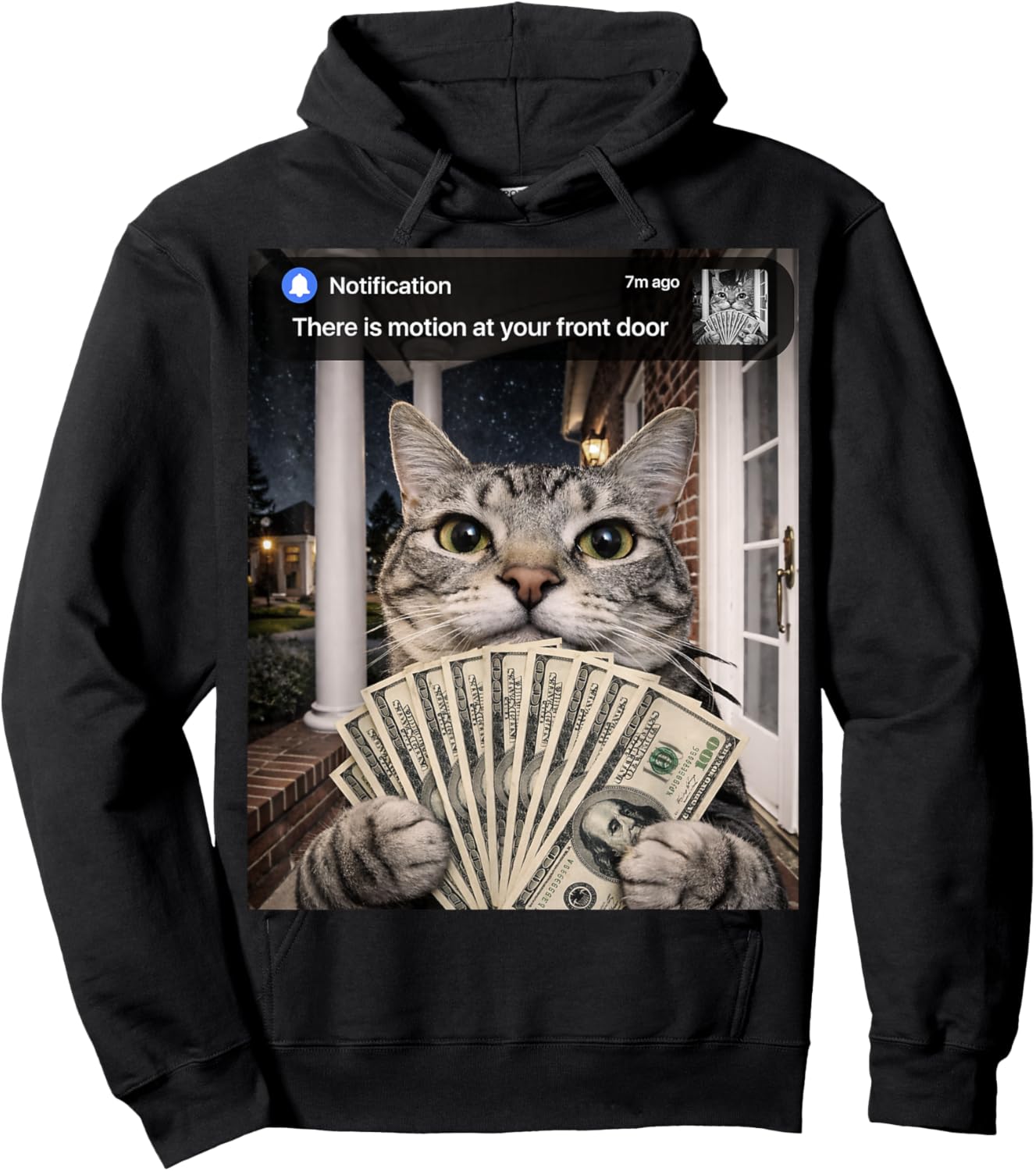 There is Motion at Your Front Door Funny Cat Motion Meme Hoodie - Hoodie | Black