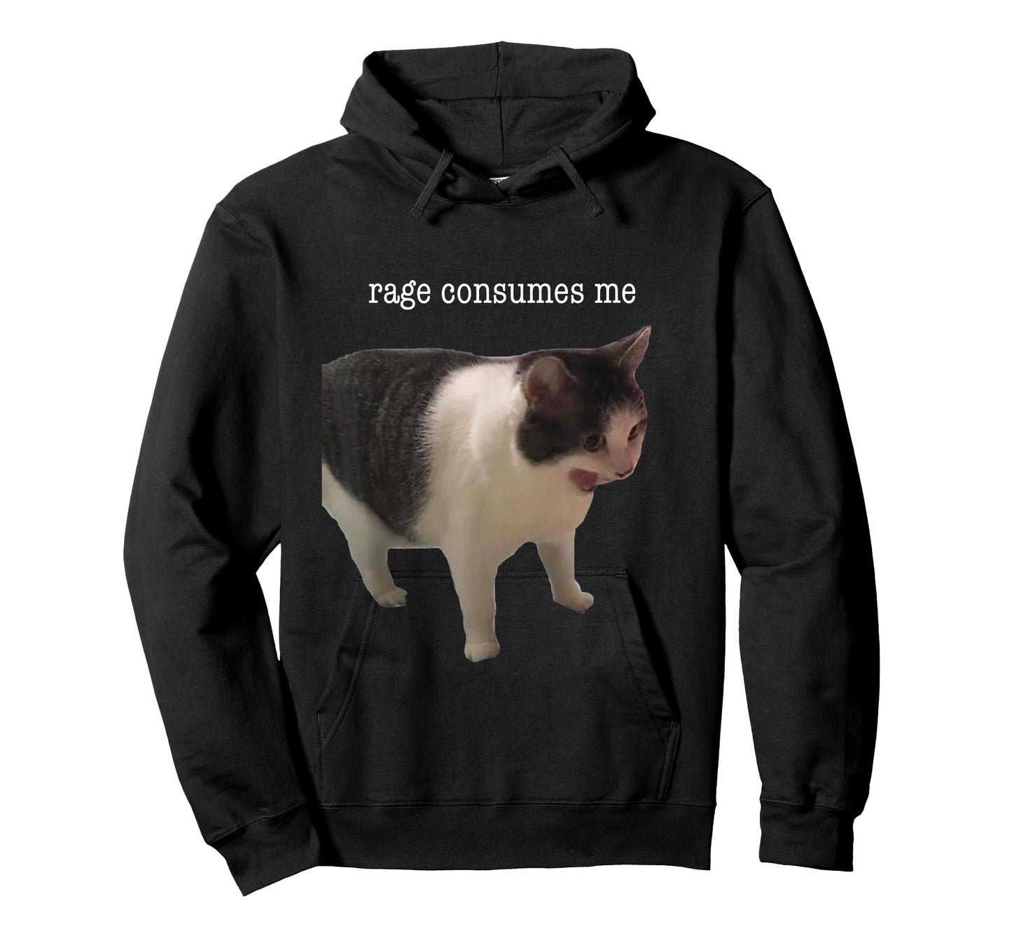 Rage Consumes Me Funny Cat Meme Men Women T-Shirt