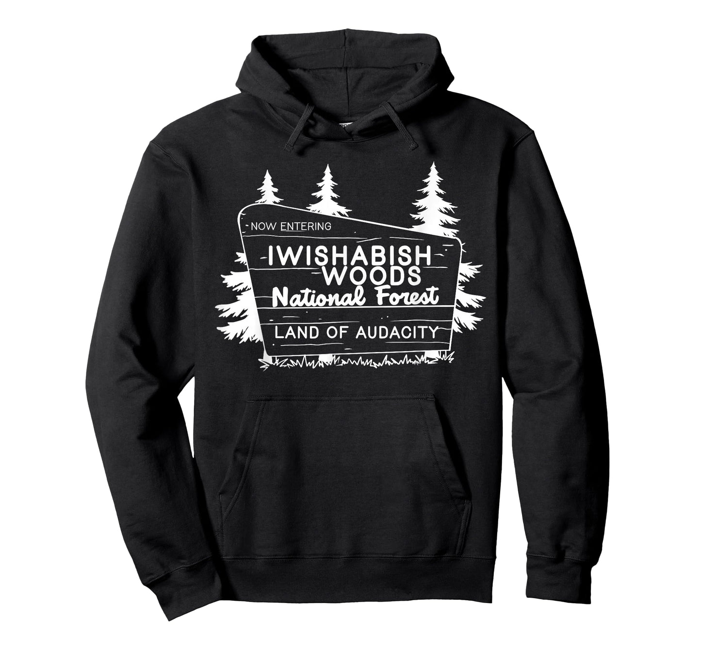 Now Entering I Wishabish Woods National Forest Land Audacity T-Shirt