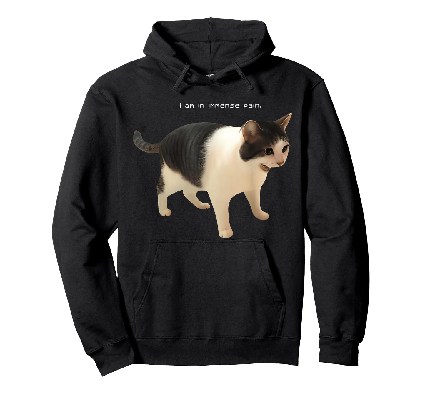 I Am in Immense Pain Funny Cat Meme Quote T-Shirt