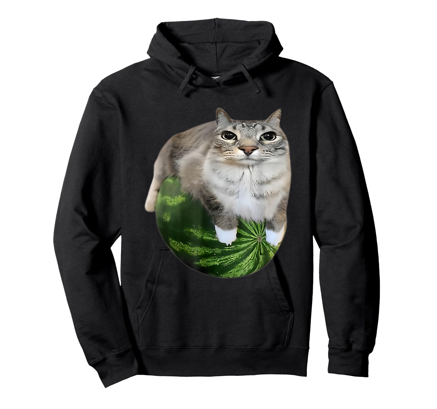 Funny Watermelon Cat Silly Meme T-Shirt