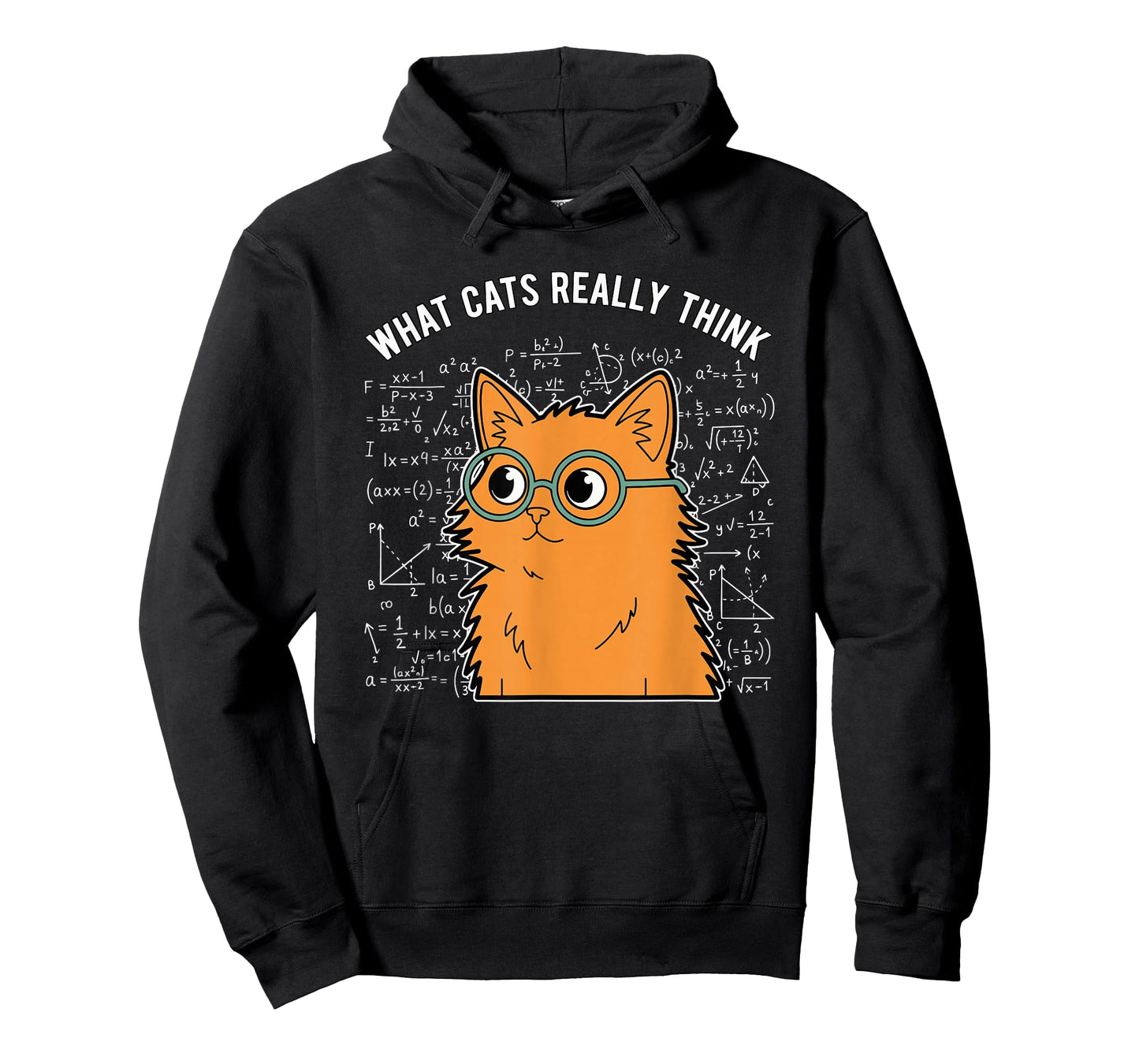 What Cats Really Think Funny Nerdy Math Cat Equations T-Shirt