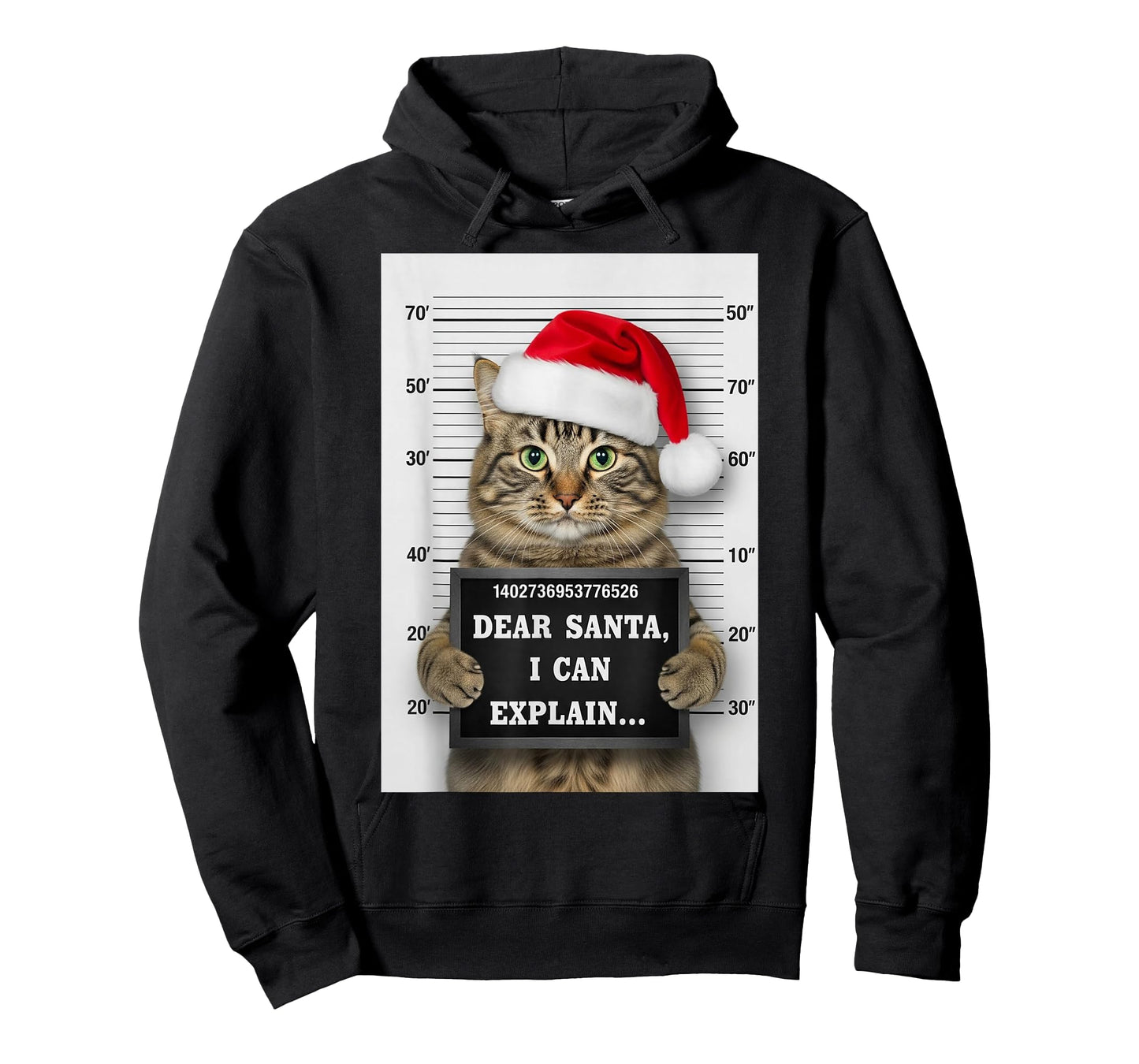 Dear Santa I Can Explain Funny Christmas Cat Kitten Mugshot T-Shirt