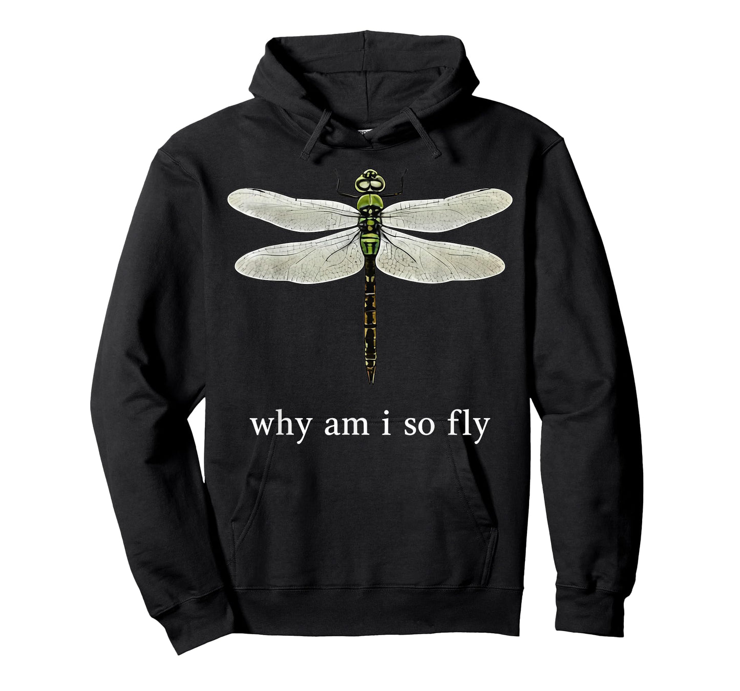 Why Am I So Fly Funny Dragonfly Pun Insect Lover T-Shirt