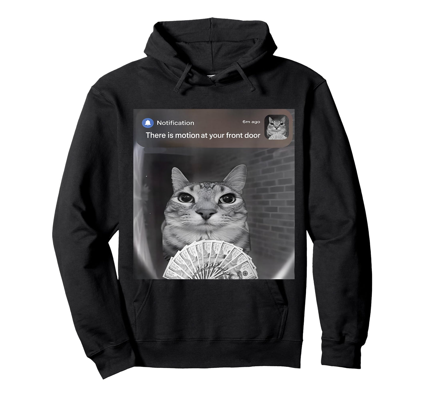 There is Motion at Your Front Door Funny Cat Motion Meme T-Shirt