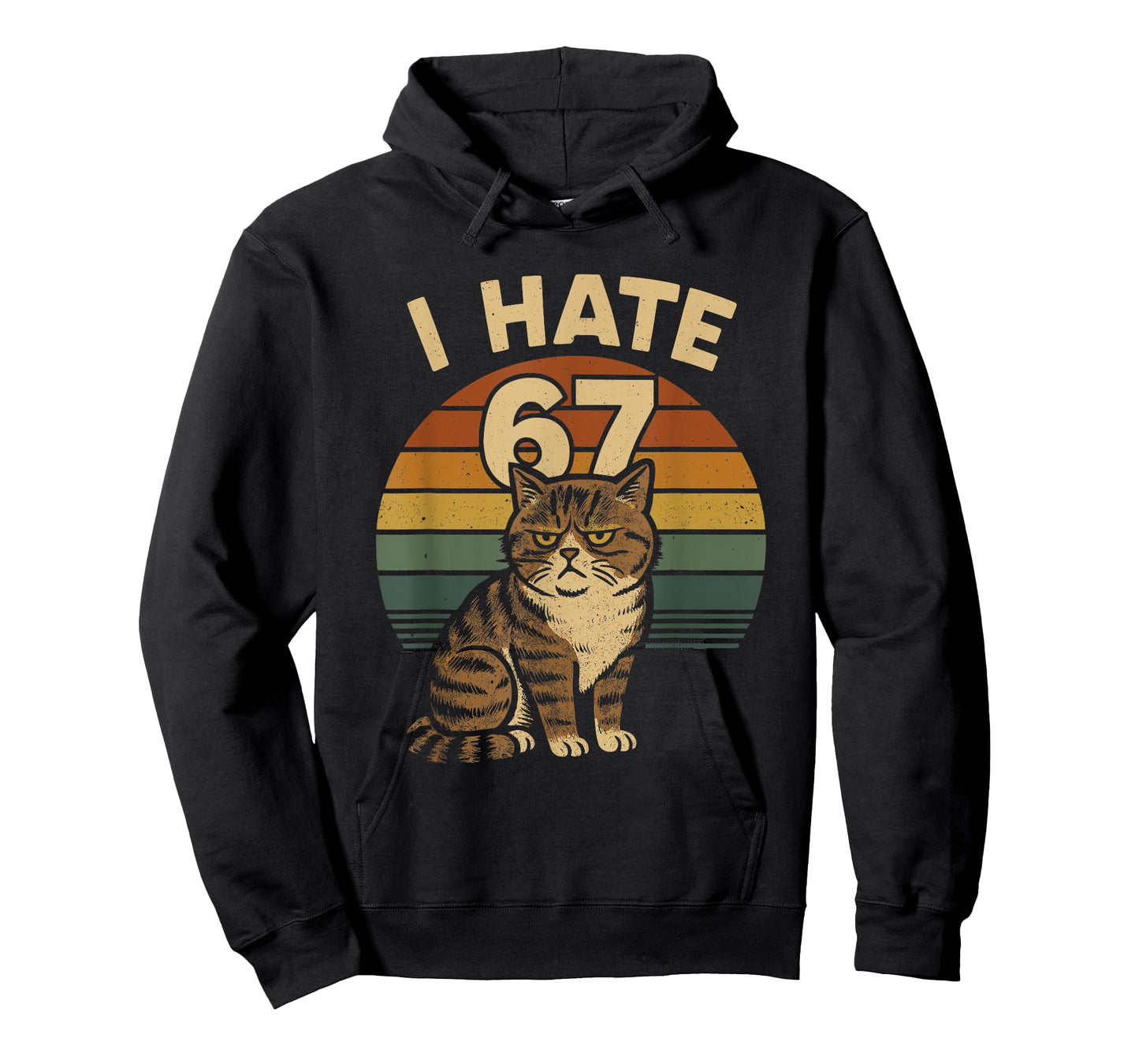 I Hate 67 Meme Cat Funny Internet Trend Humor Brainrot Youth T-Shirt