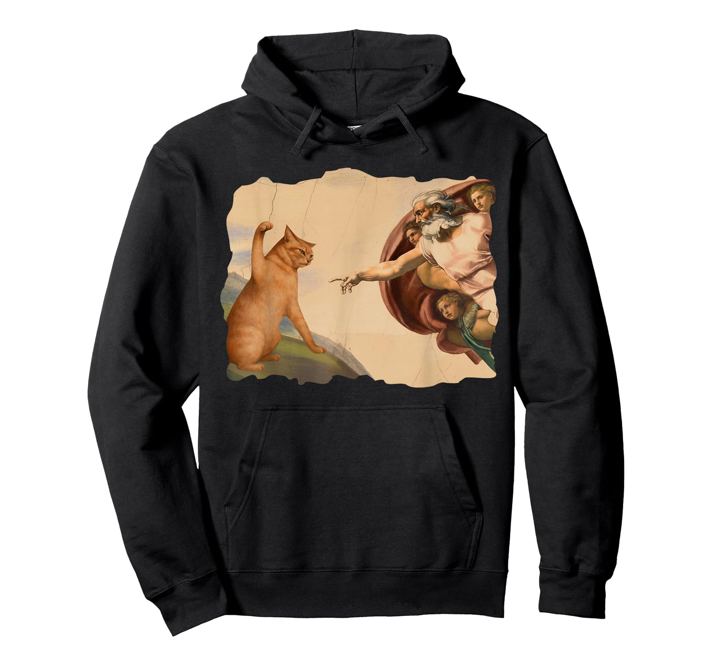 Funny Cat Swatting God's Hand Cat Shawncraft Cat Men Women T-Shirt