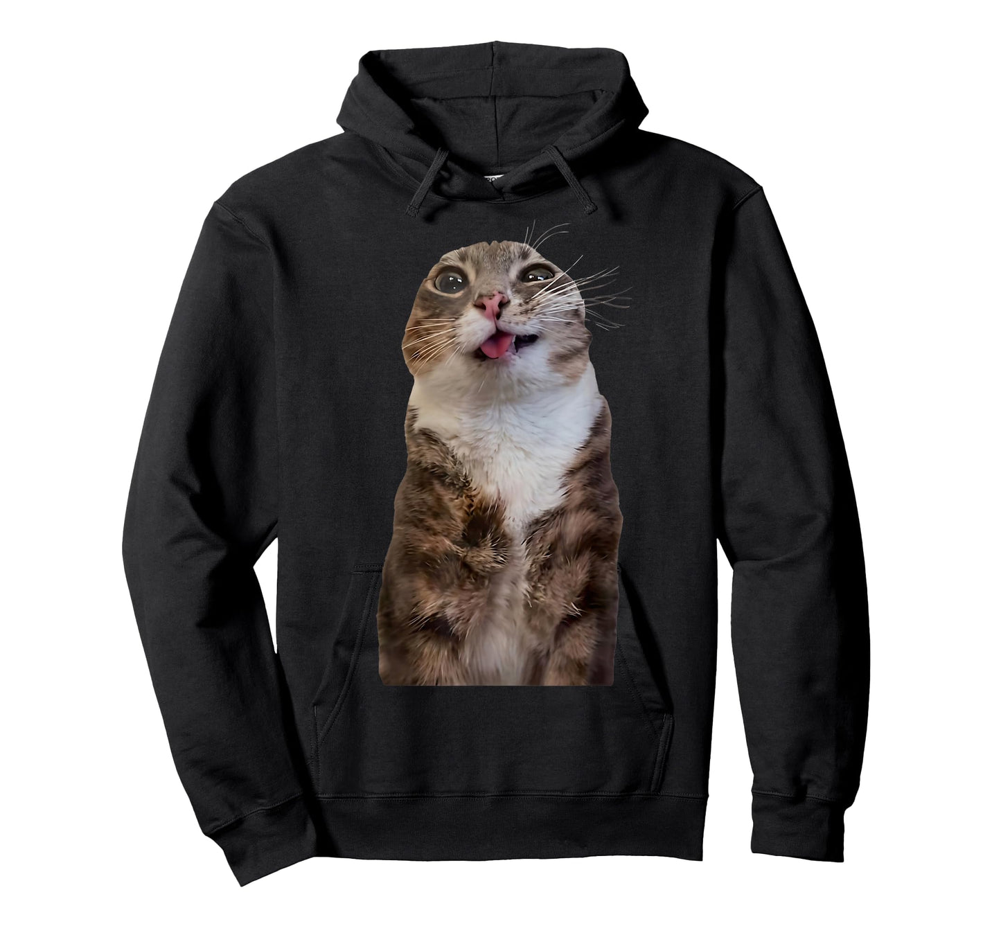 Funny Rigby Cat Silly Viral Meme T-Shirt