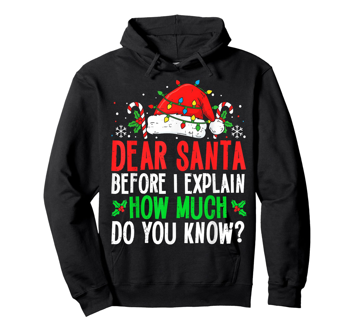 Funny Christmas Kids Adults Dear Santa I Can Explain T-Shirt