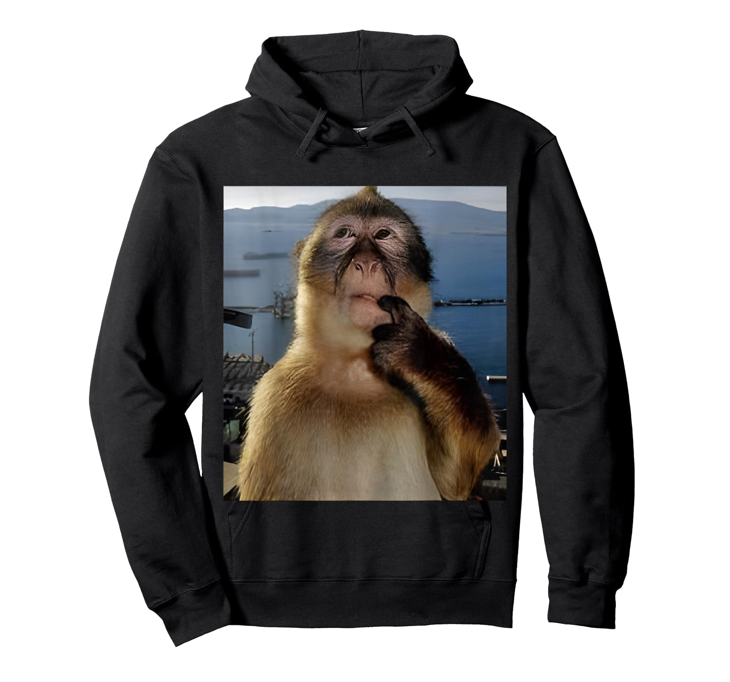 Funny Thinking Monkey Meme T-Shirt Curious Ape Brainrot Gift T-Shirt