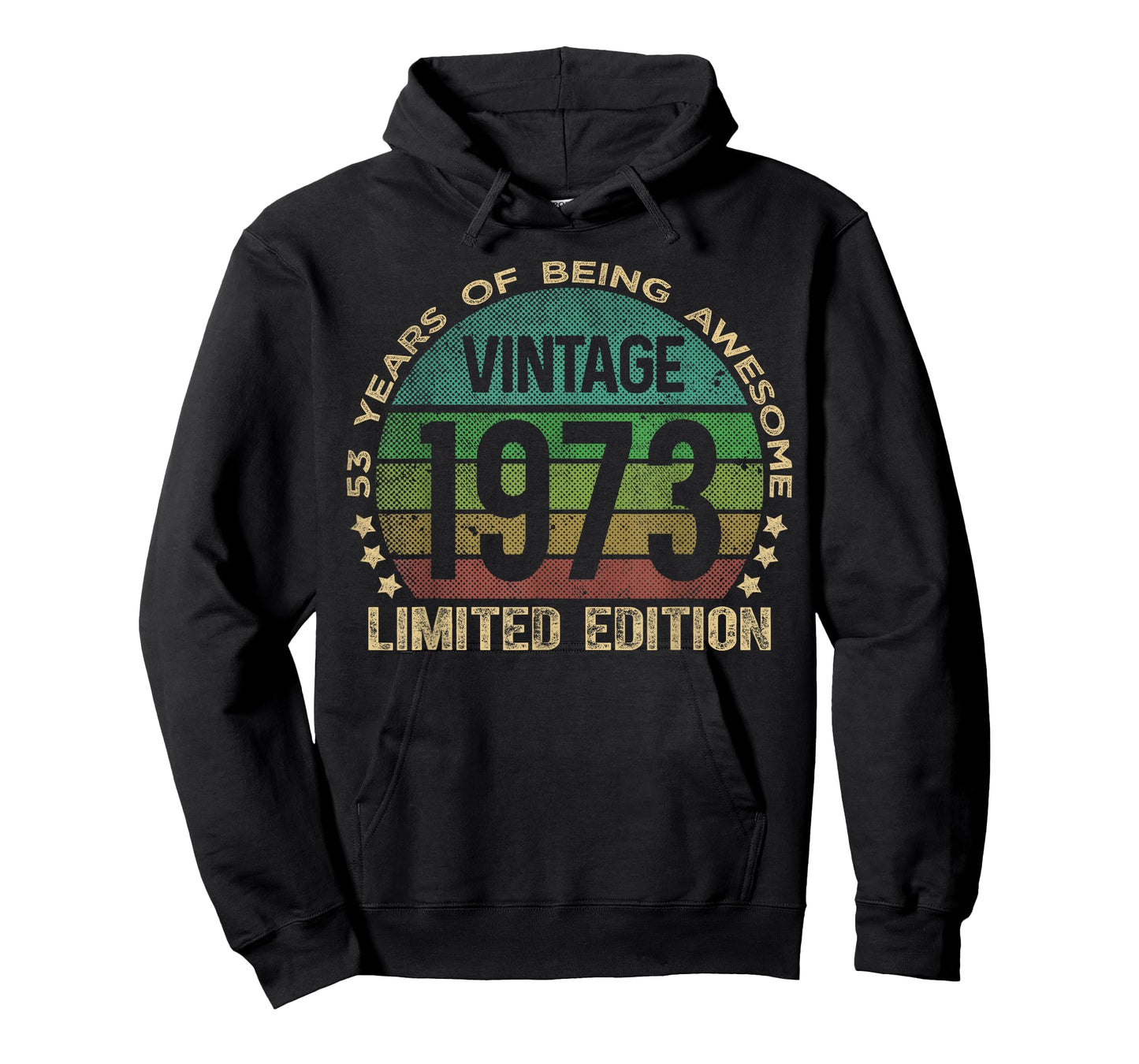 53 Year Old Gifts Vintage 1973 Limited Edition 53rd Birthday T-Shirt
