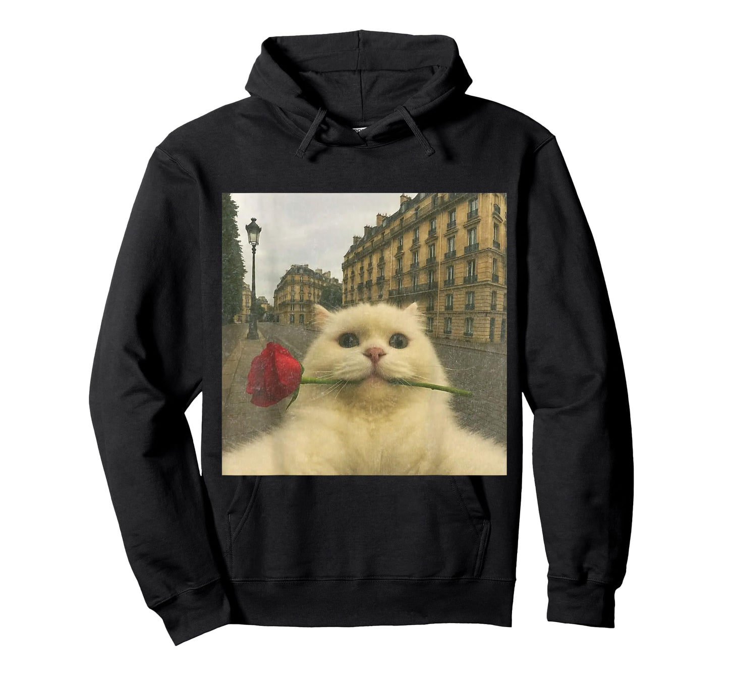 Funny Romantic Cat Selfie Paris Rose Cat Meme Valentine T-Shirt