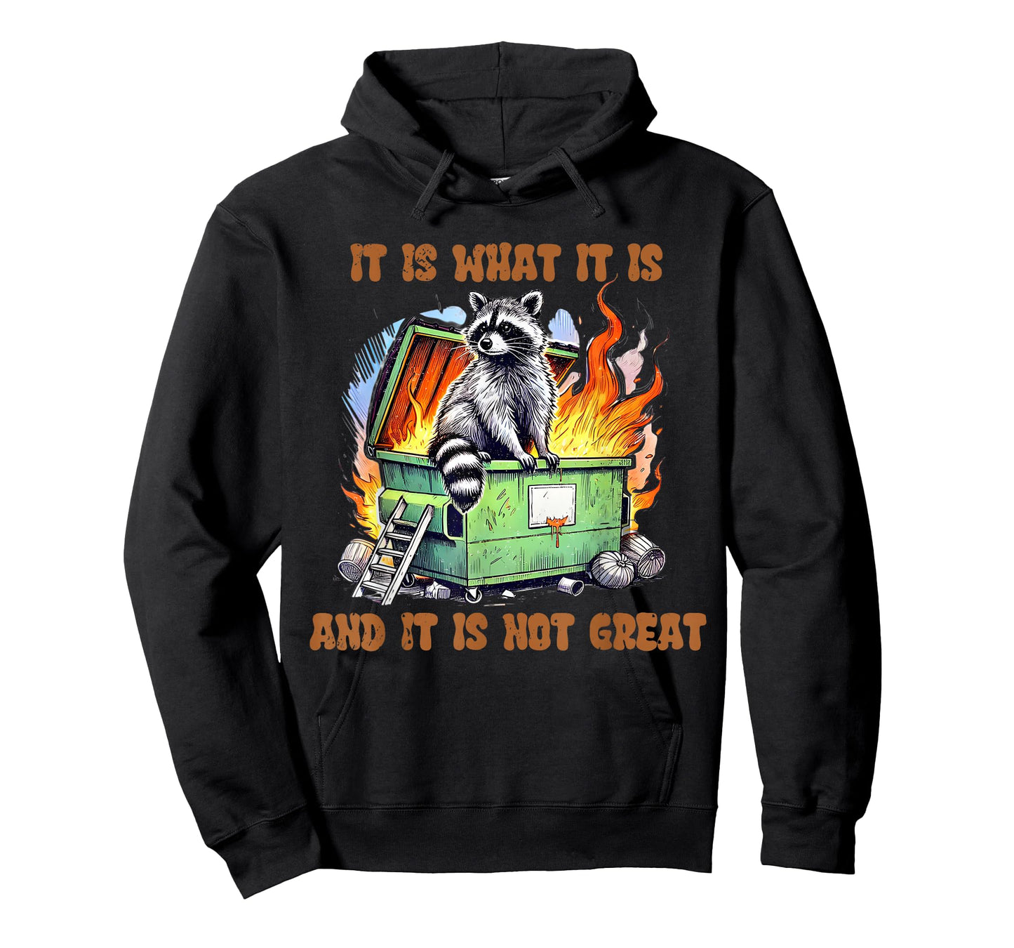 It is What Not Great Raccoon Mental Health Lil Dumpster Meme T-Shirt