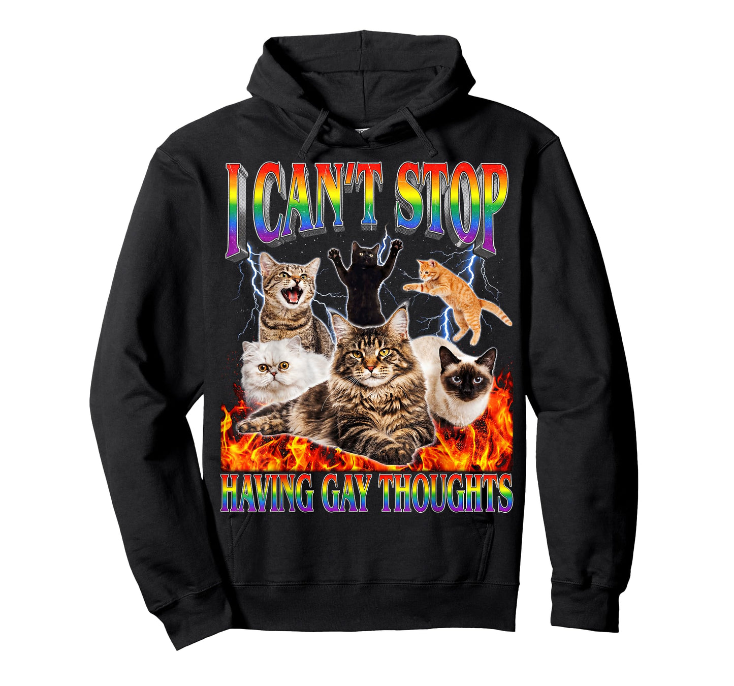 Funny Cat I Can't Stop Having Gay Thoughts LGBTQ Queer T-Shirt