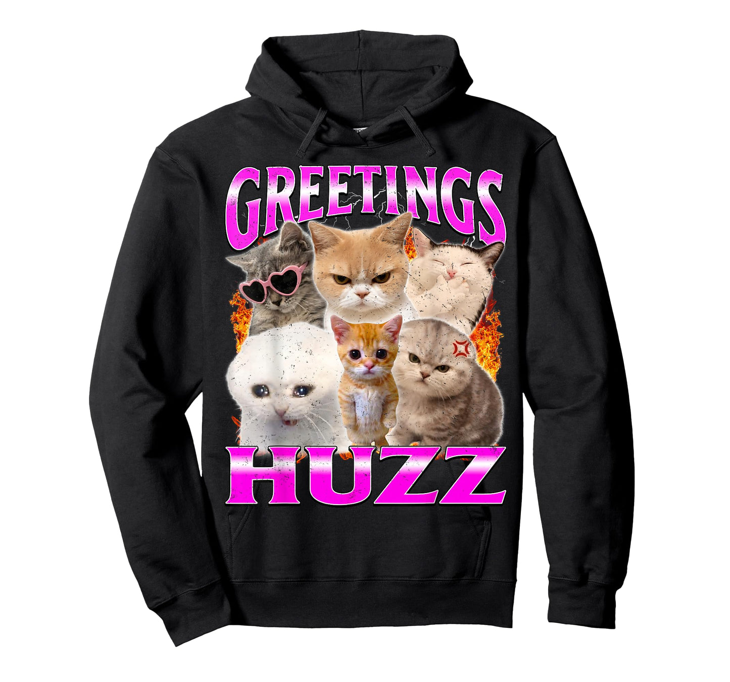 Greetings Huzz Funny Silly Cats Meme T-Shirt