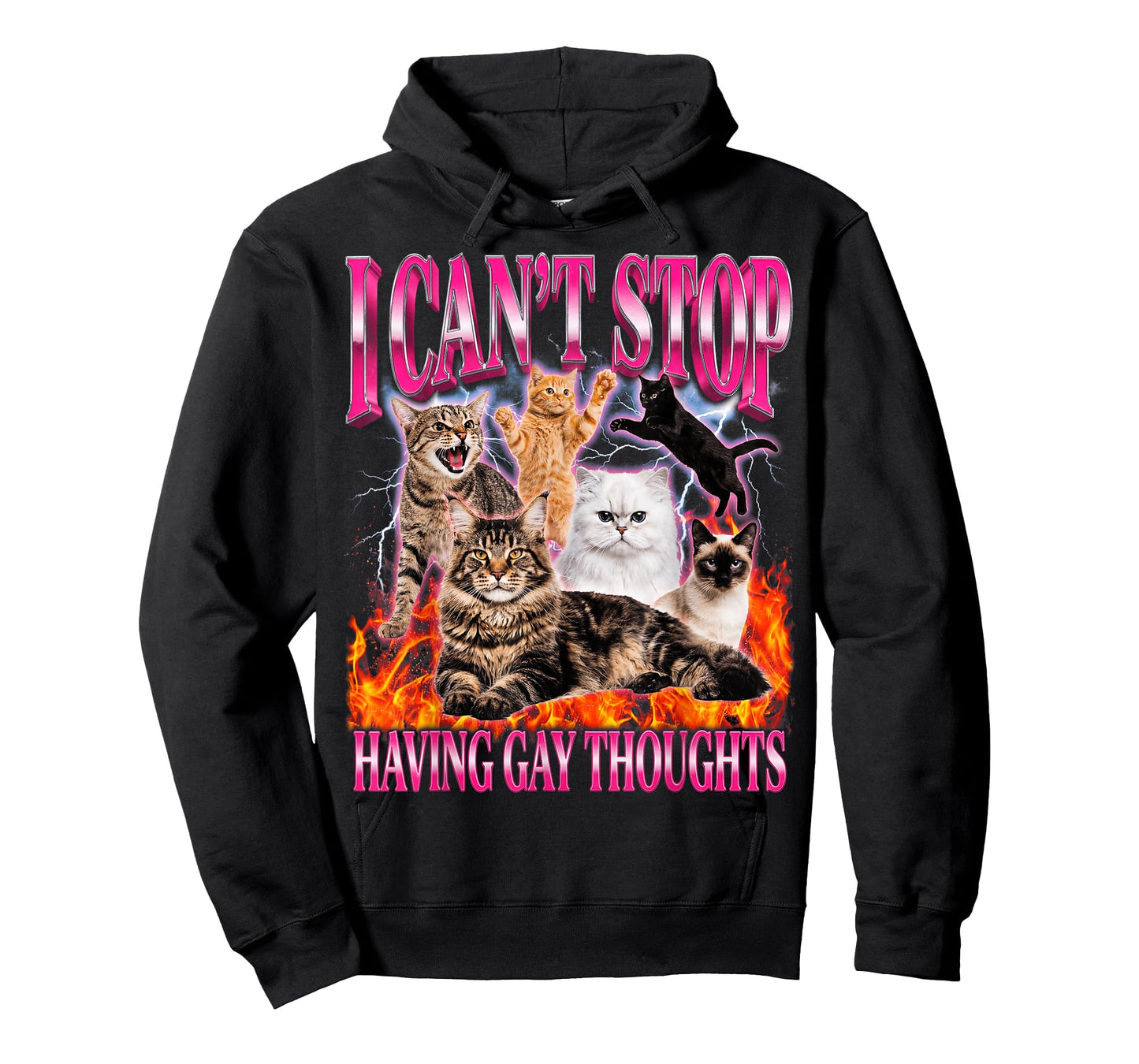 Funny Cat I Can't Stop Having Gay Thoughts LGBTQ Pride T-Shirt