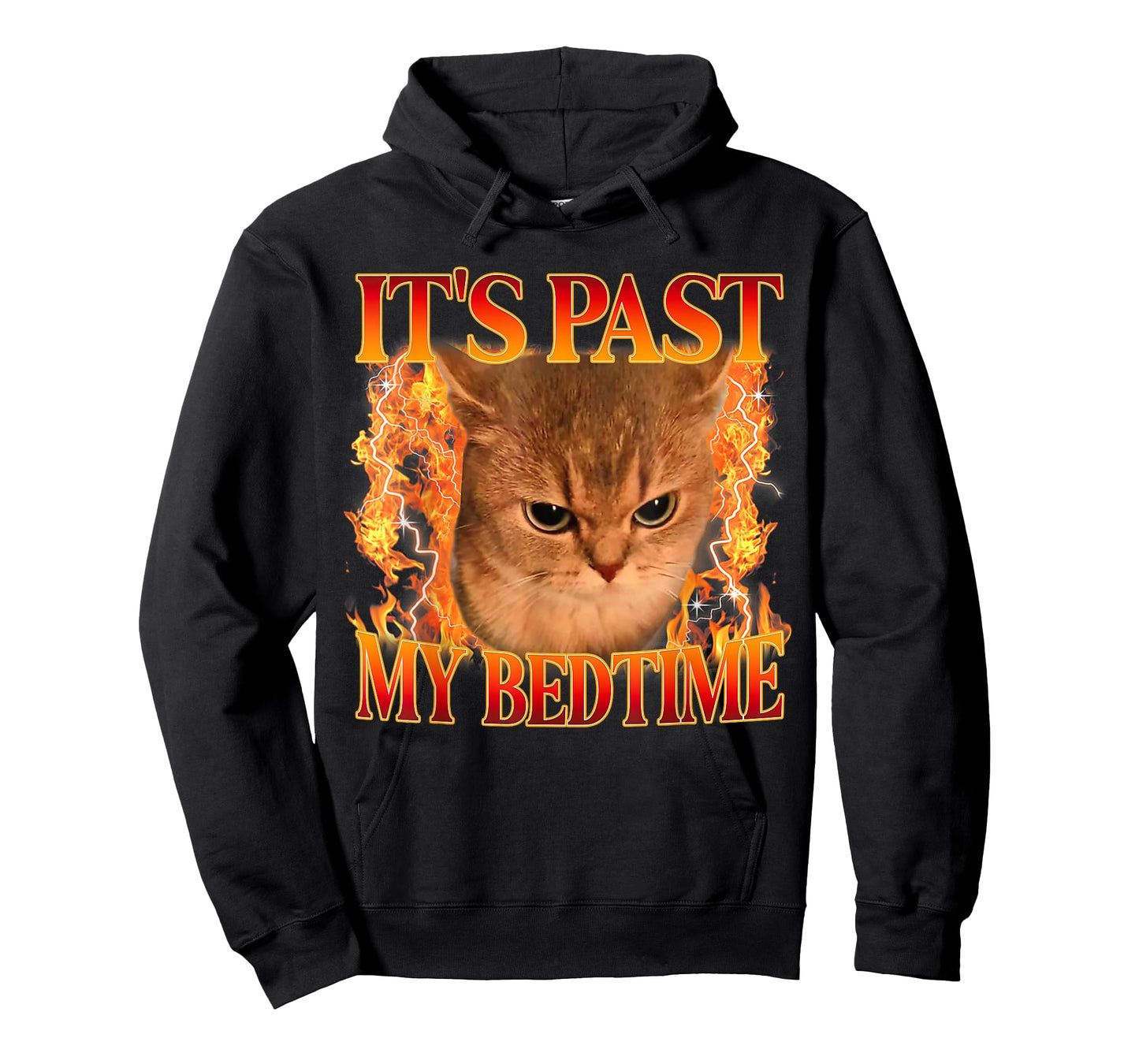 It's Past My Bedtime Funny Cat Meme Animals Humor Quote T-Shirt