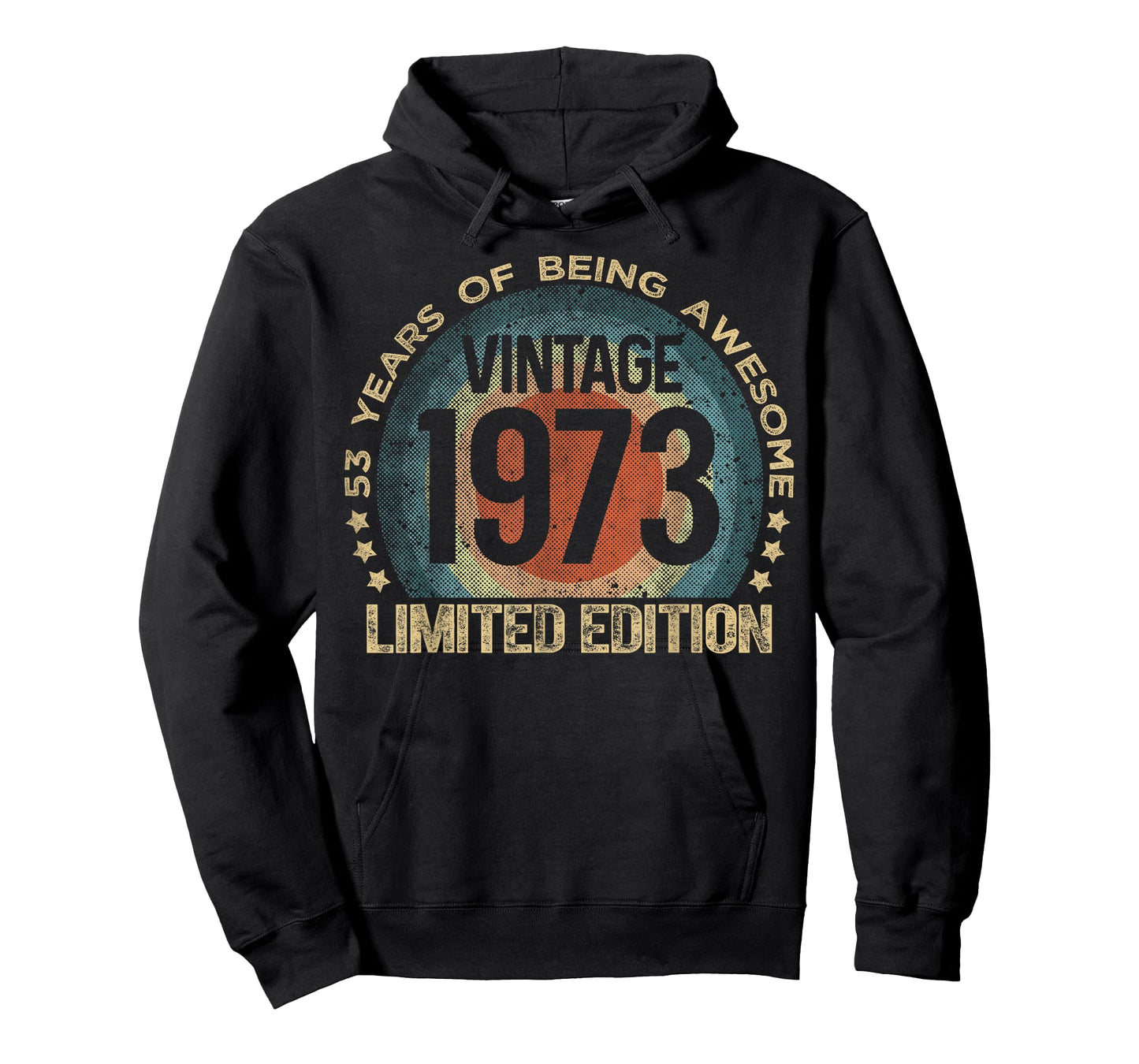 53 Year Old Gifts Vintage 1973 Limited Edition 53rd Birthday T-Shirt