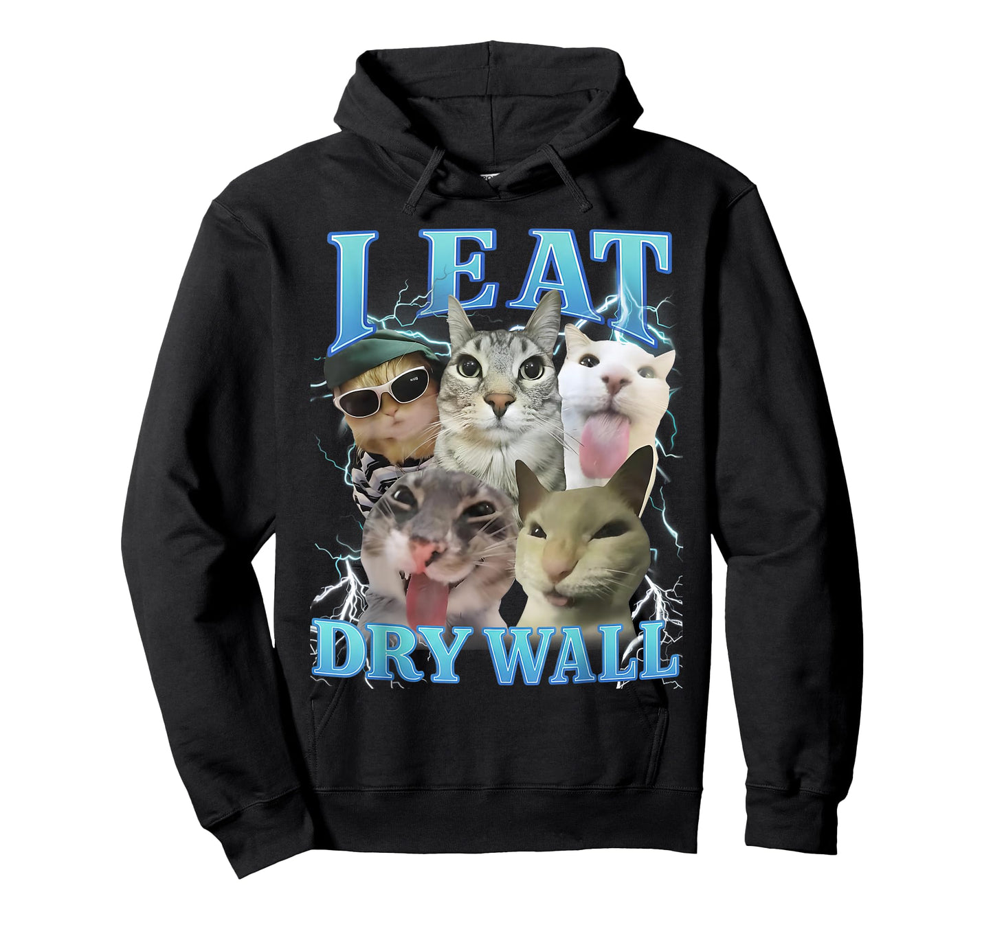 I Eat Dry Wall Funny Cat Meme T-Shirt