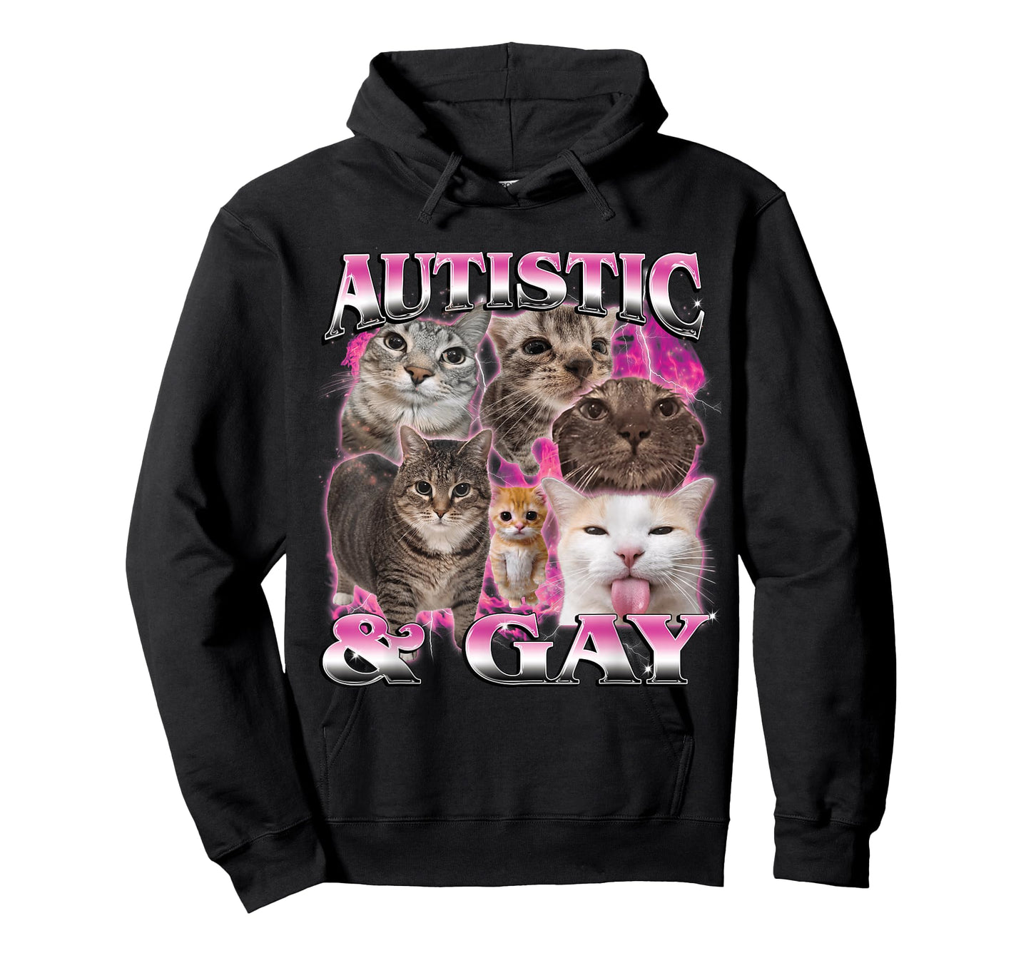 Autistic and Gay Funny Stupid Dank Cat Meme Bootleg Graphic T-Shirt
