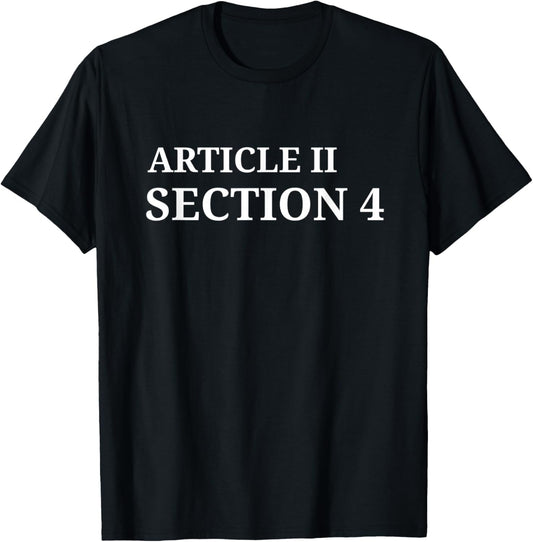 Article 2 Section 4 Constitution Saying T-Shirt - T-Shirt | Black