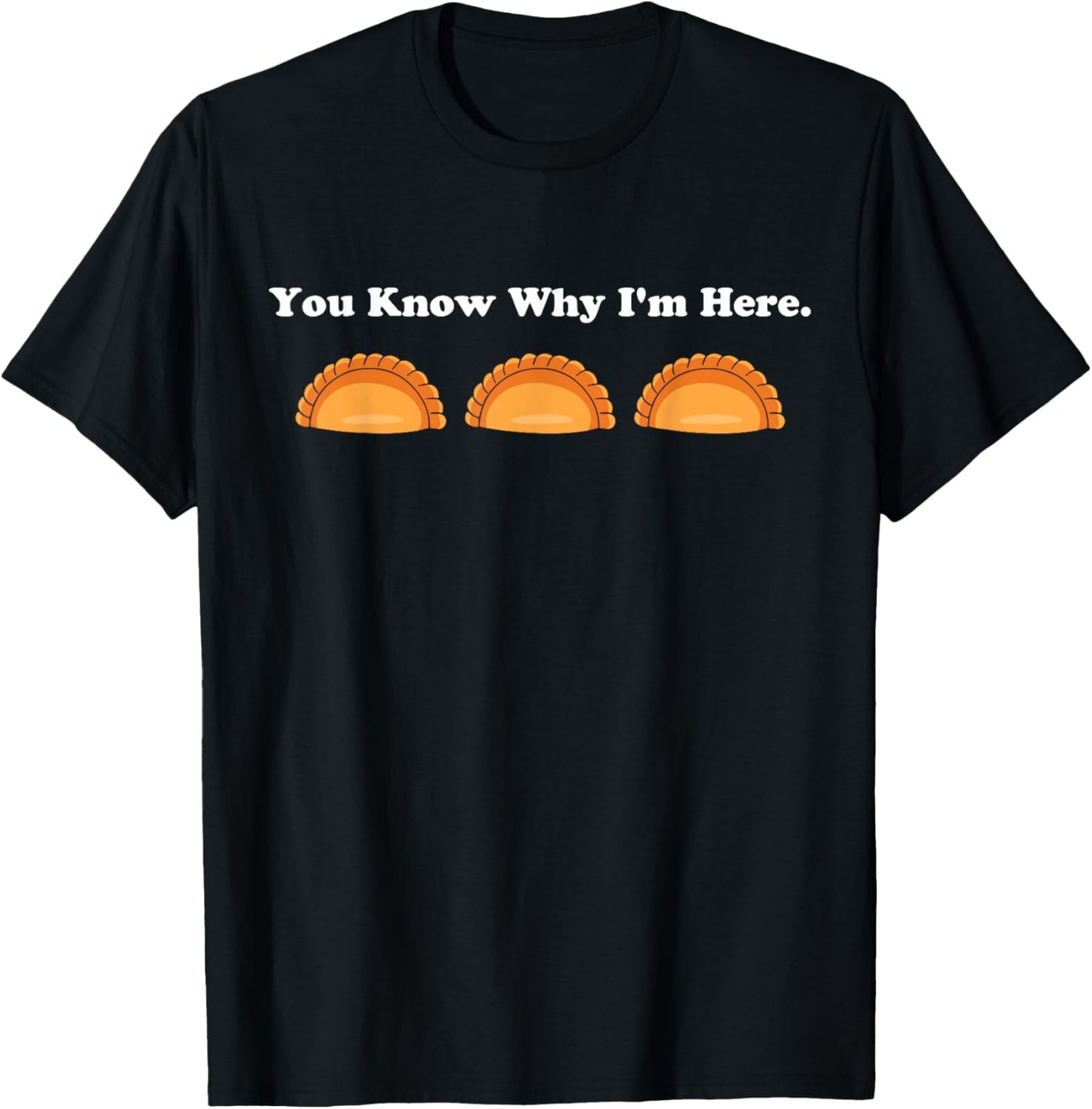 You Know Why Im Here Pierogi Squad Funny Polish American T-Shirt - T-Shirt | Black