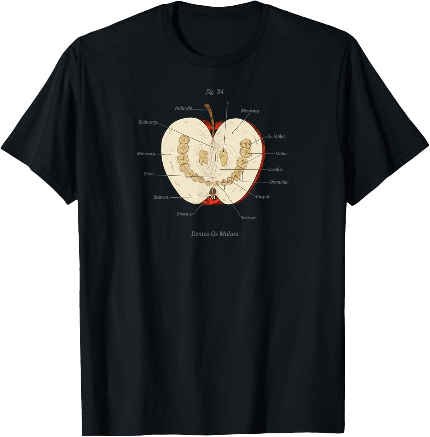 The Magnus Archives Funny Meme Anatomy Class Teeth Apple T-Shirt - T-Shirt | Black