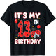 13 Year Old Birthday Ladybug Themed It's My 13th Birthday T-Shirt - T-Shirt | Black
