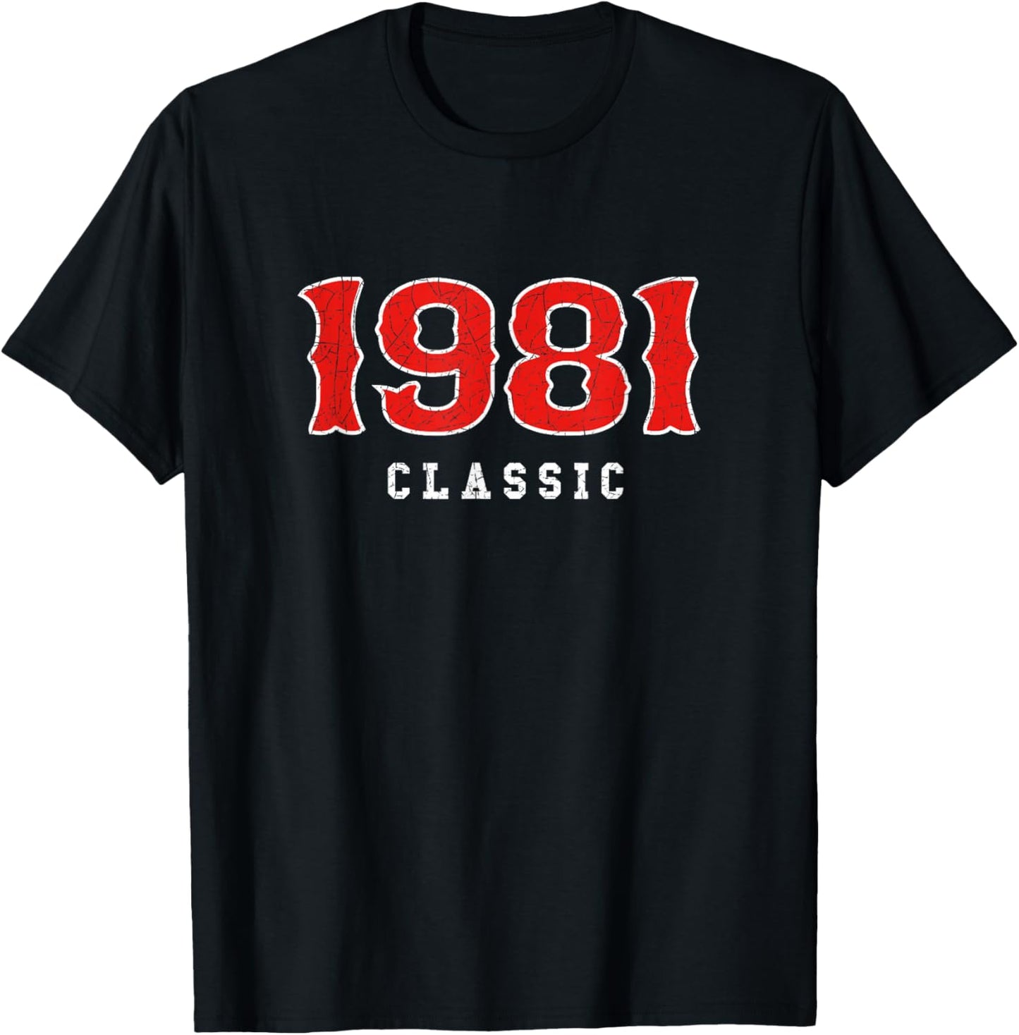 45 Year Old 1981 Classic Baseball Fan 45th Birthday Gift T-Shirt - T-Shirt | Black