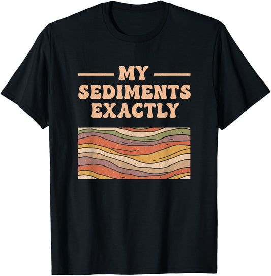 Fine Arts My Sediments Exactly, Retro Layered Geology Art T-Shirt - T-Shirt | Black