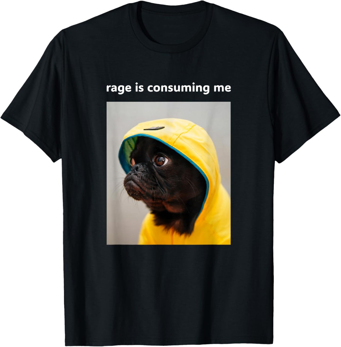 Rage is Consuming Me Funny Pug Cute Dog Meme T-Shirt - T-Shirt | Black
