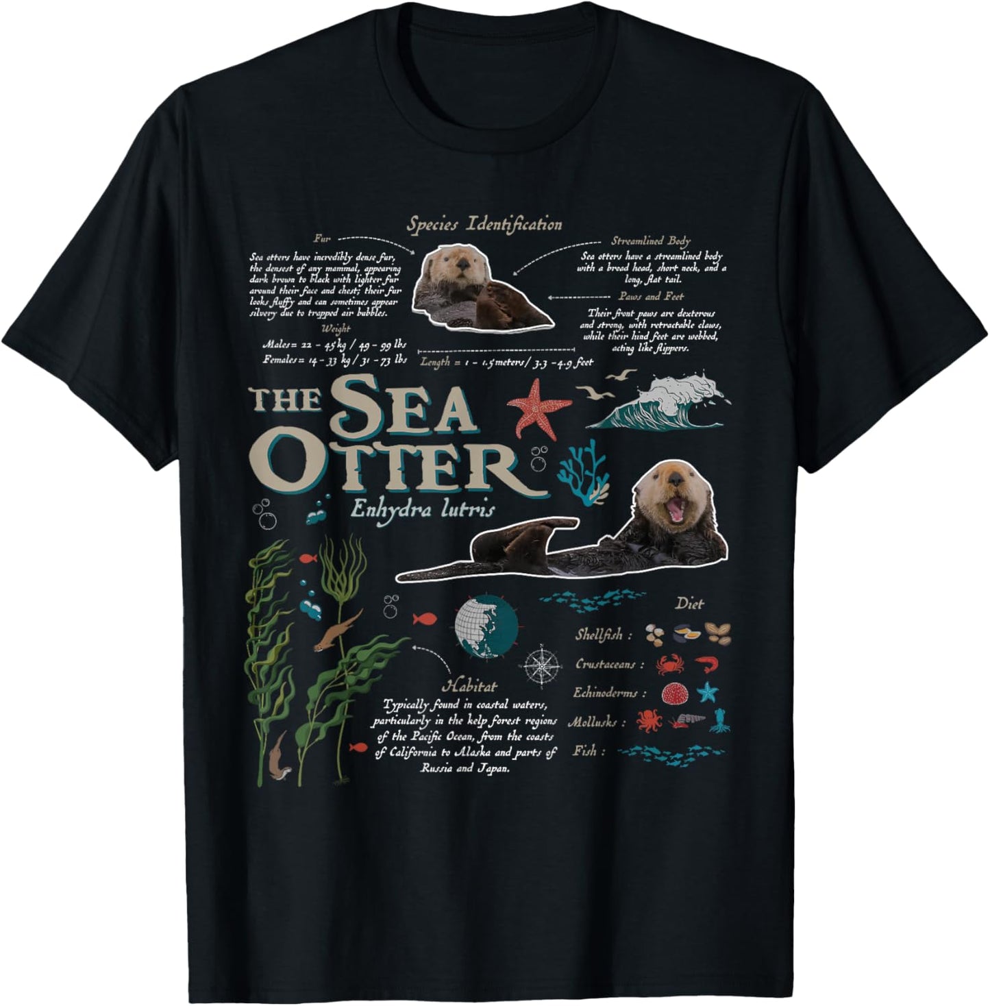 Sea Otter Marine Biology Nature Lover Outdoor T-Shirt - T-Shirt | Black