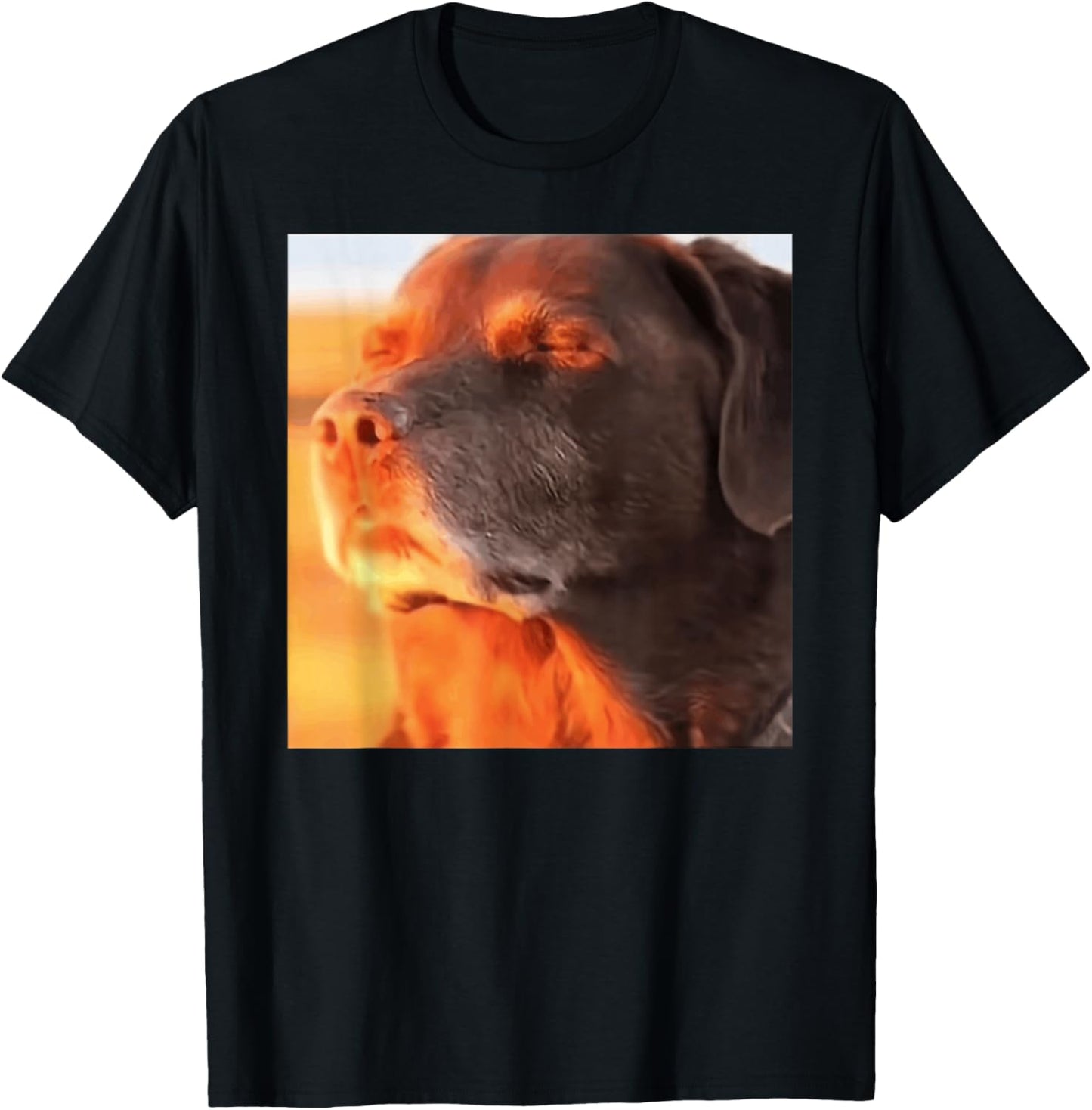 Dog in The Sunset Meme T-Shirt - T-Shirt | Black