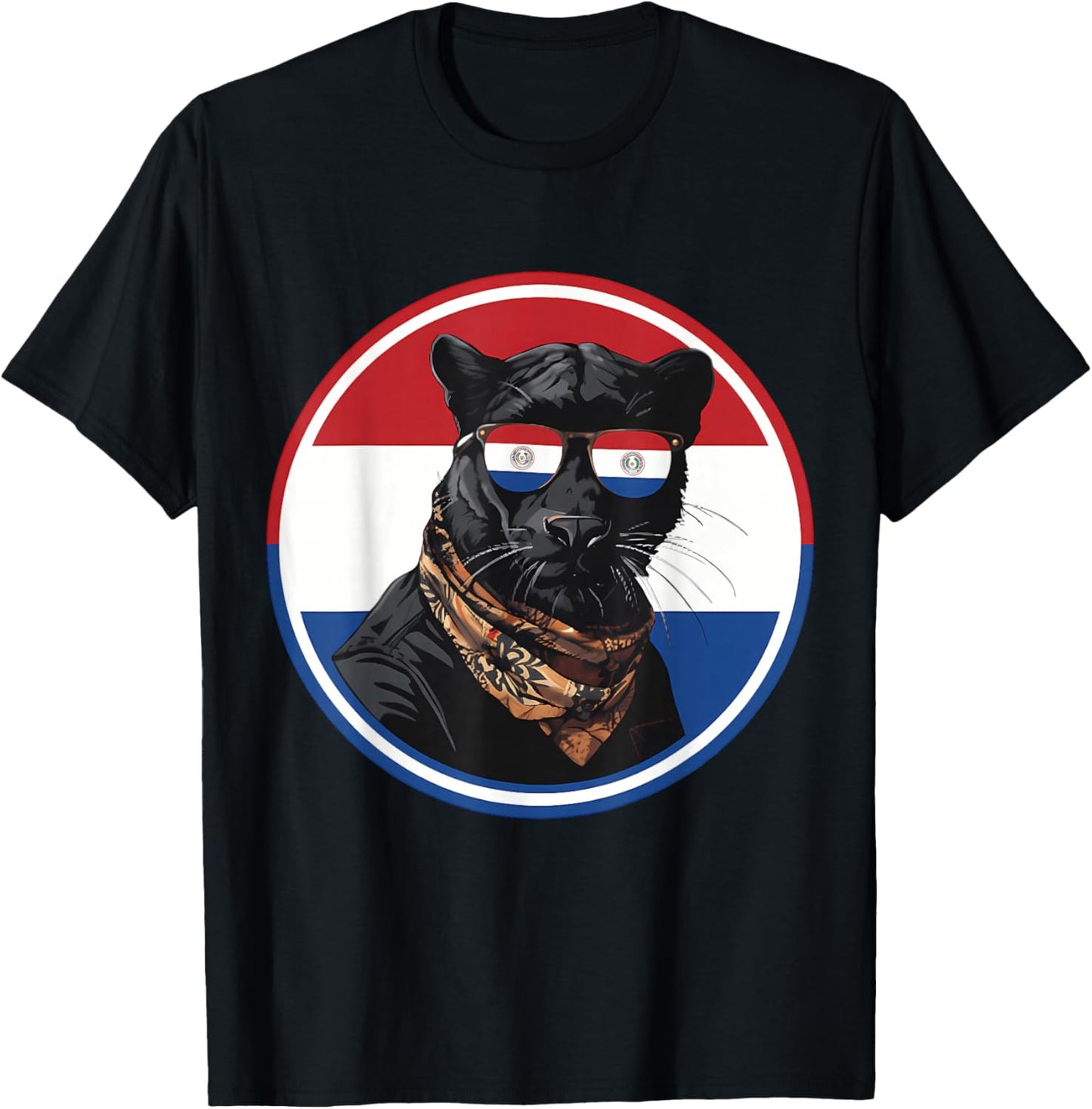 Paraguay Flag Paraguayan Roots T-Shirt - T-Shirt | Black