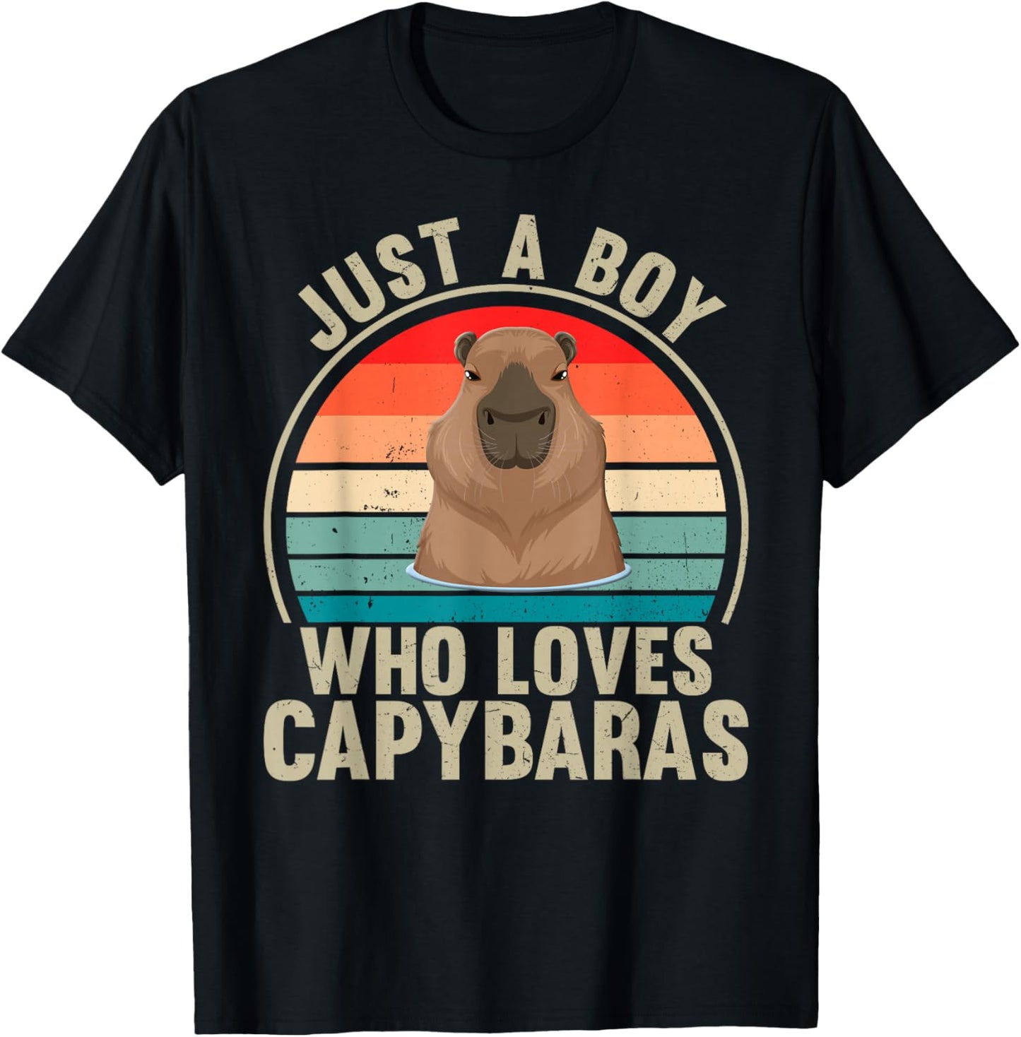 Just A Boy Who Loves Capybaras Recto Capybara Lover T-Shirt - T-Shirt | Black