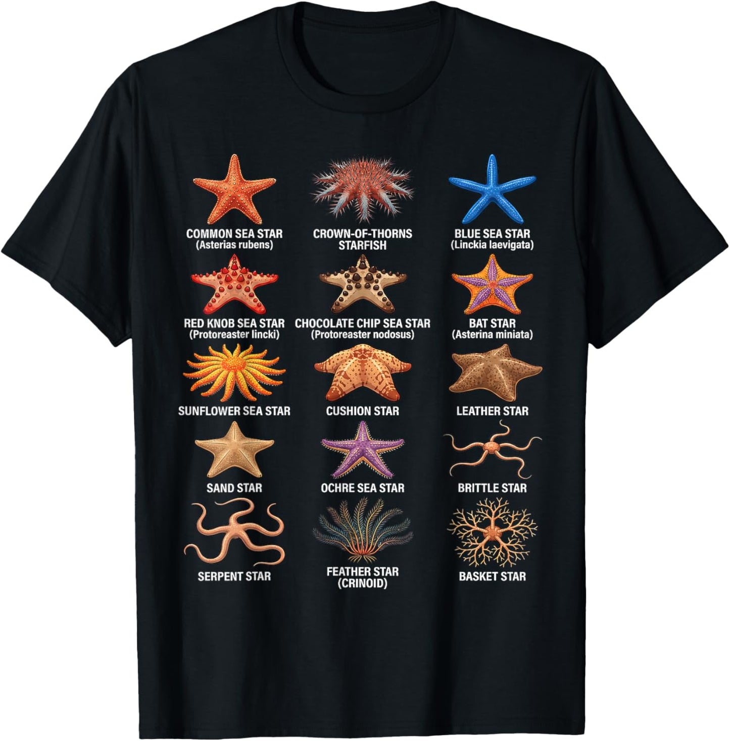 Types of Sea Stars, Sea Star Species Chart, Starfish Types T-Shirt - T-Shirt | Black