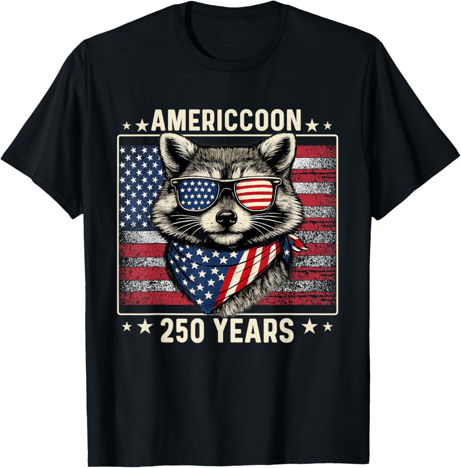 250th Anniversary Raccoon 1776 2026 250 Year 4th of July T-Shirt - T-Shirt | Black