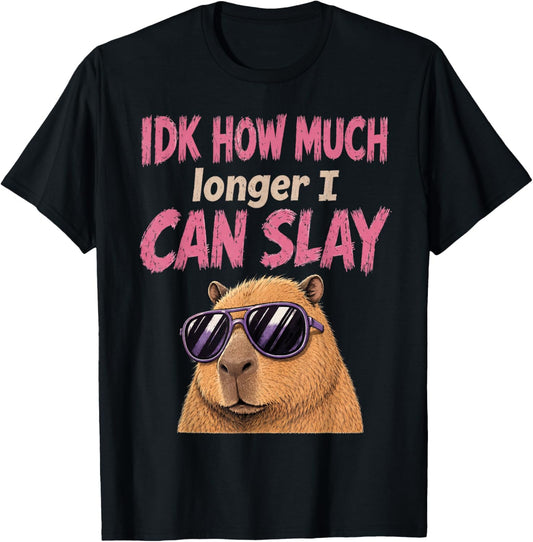 Meme Capybara IDK How Much Longer I Can Slay Teens Funny T-Shirt - T-Shirt | Black