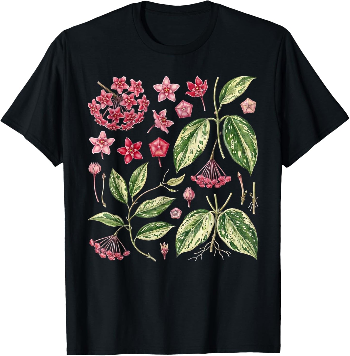 Botanical Hoya Carnosa Flower Anatomy Houseplant Plant Lover T-Shirt - T-Shirt | Black
