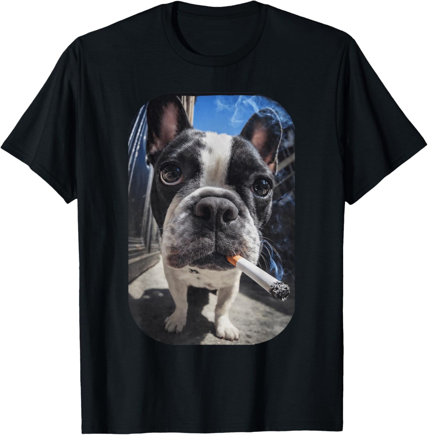 Funny Smoking Boston Terrier Dog Meme Gen Z Cigarette T-Shirt - T-Shirt | Black
