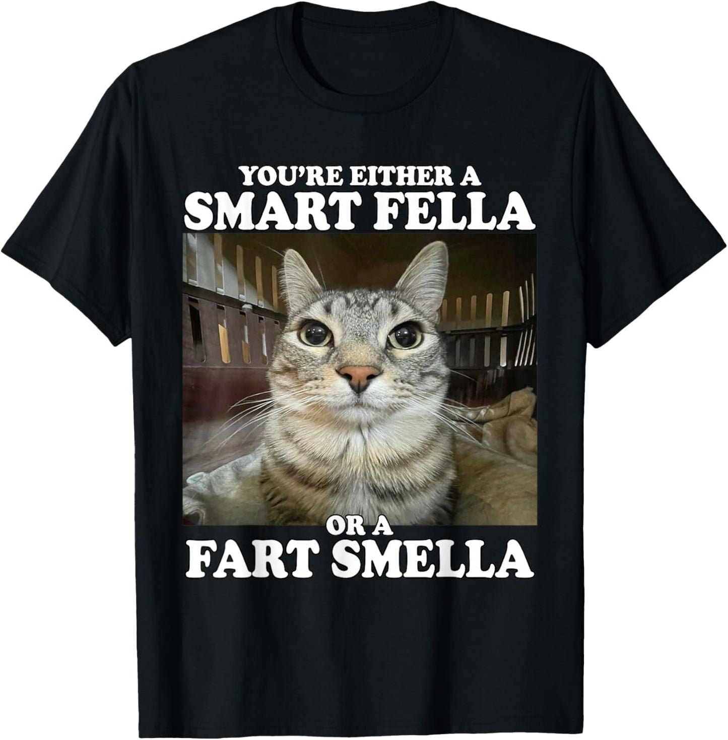 You're Either A Smart Fella Or A Fart Smella Funny Cat Meme T-Shirt - T-Shirt | Black