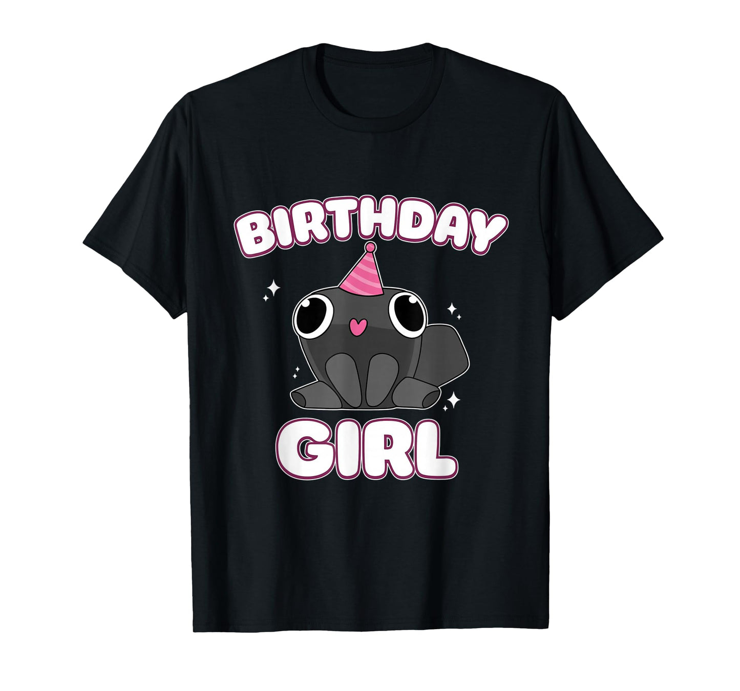 Birthday Girl Pebble Funny Dandy's Minimalist Humor Gifts T-Shirt